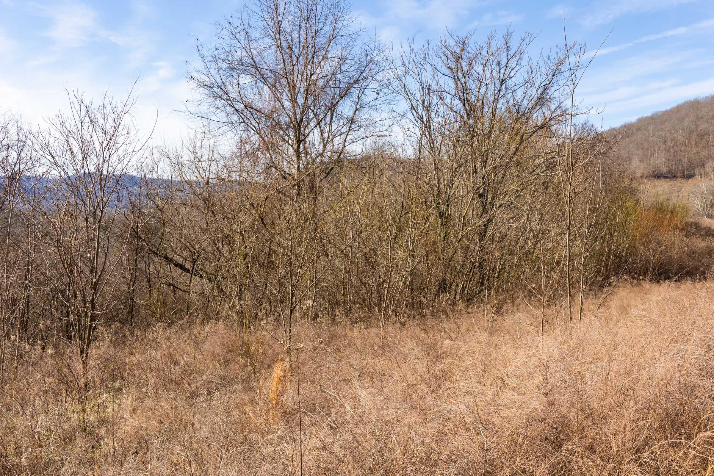 Jade Pass — Zero Credit Land owner financed land for sale in Whitley County, Kentucky photo 11