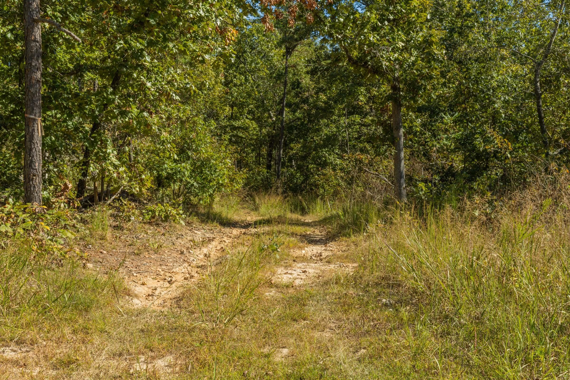 Property photo 18