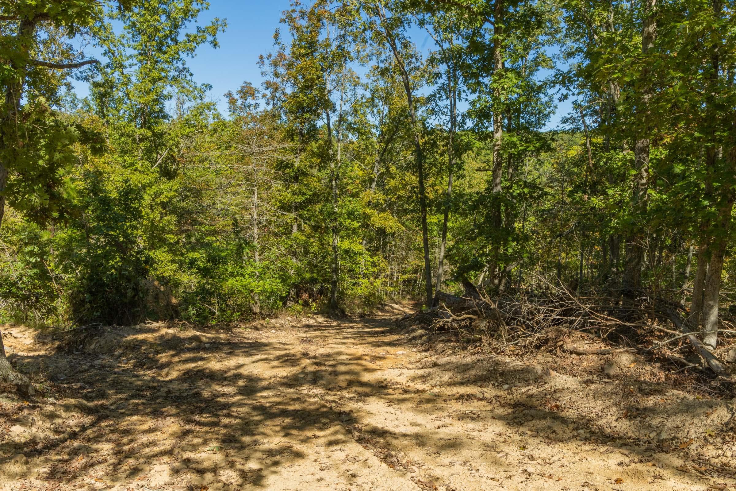 Property photo 19