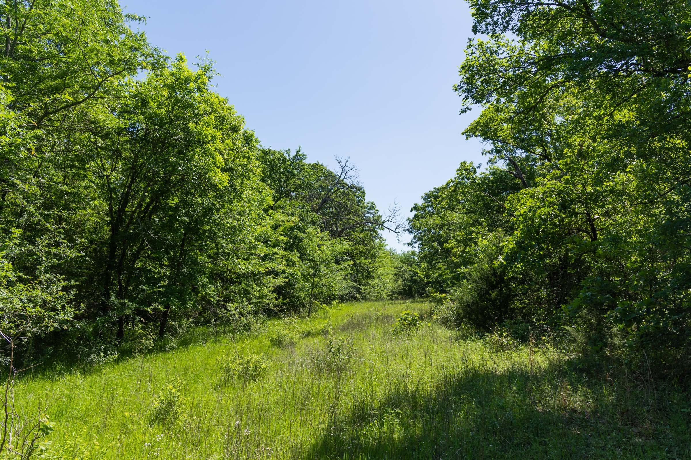 Harmony Hills — Zero Credit Land owner financed land for sale in Pittsburg County, Oklahoma photo 25