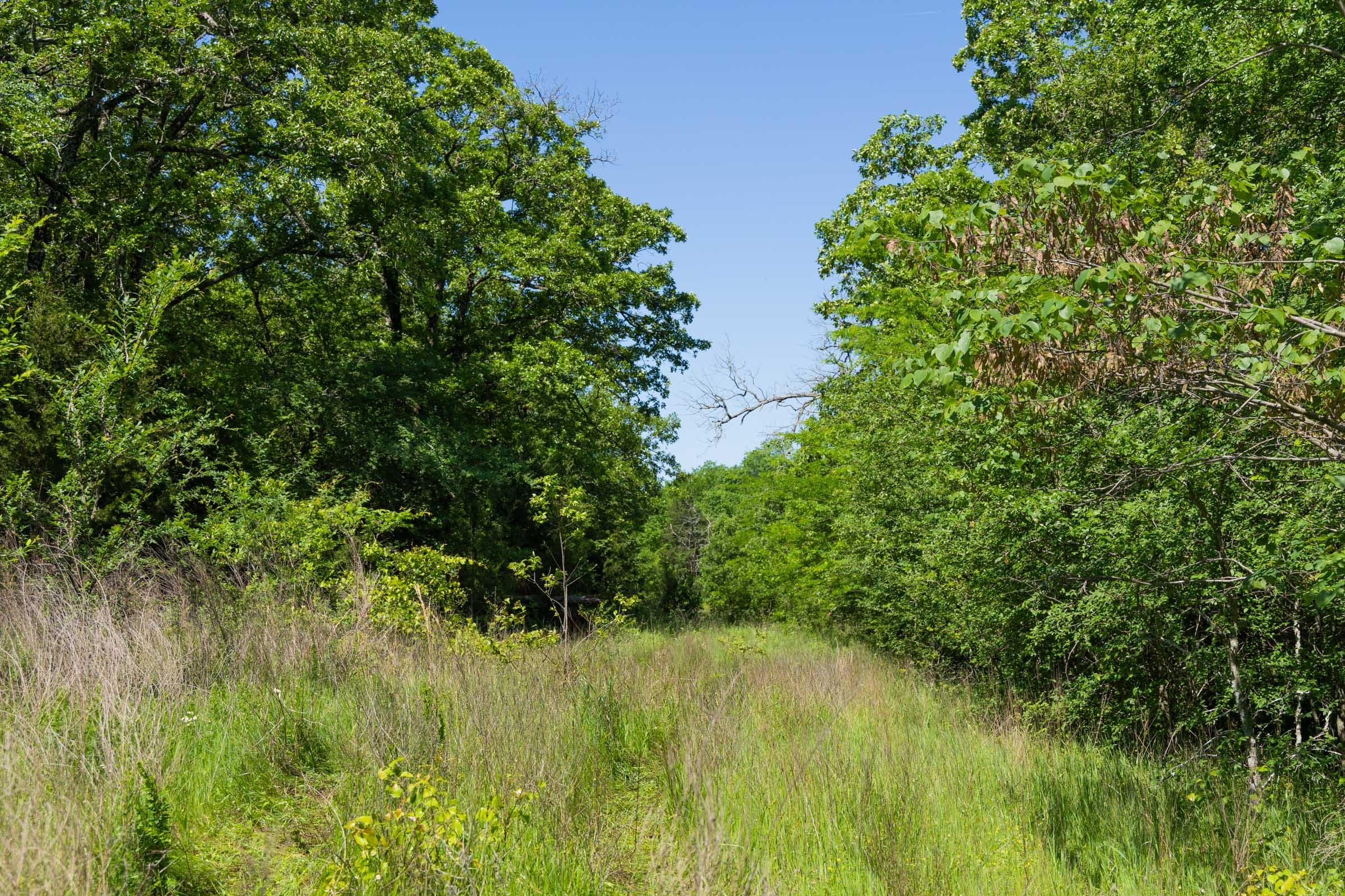 Harmony Hills — Zero Credit Land owner financed land for sale in Pittsburg County, Oklahoma photo 26