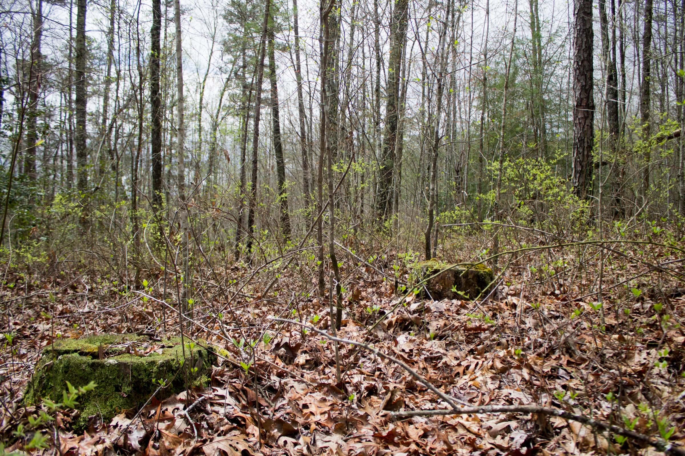 Hidden Hills — Zero Credit Land owner financed land for sale in Sequatchie County, Tennessee photo 18