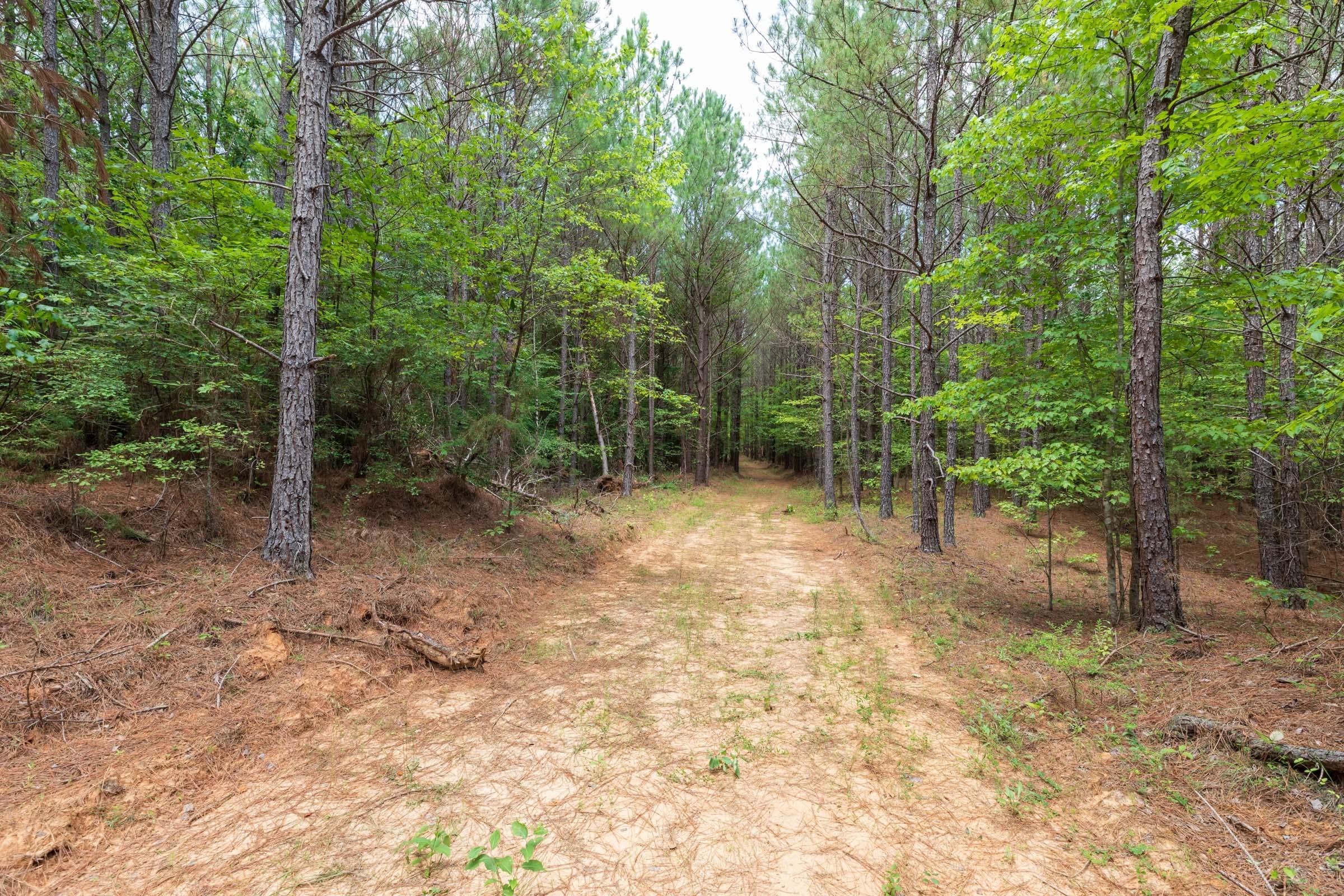 Whiskey Ridge — Zero Credit Land owner financed land for sale in Henderson County, Tennessee photo 80