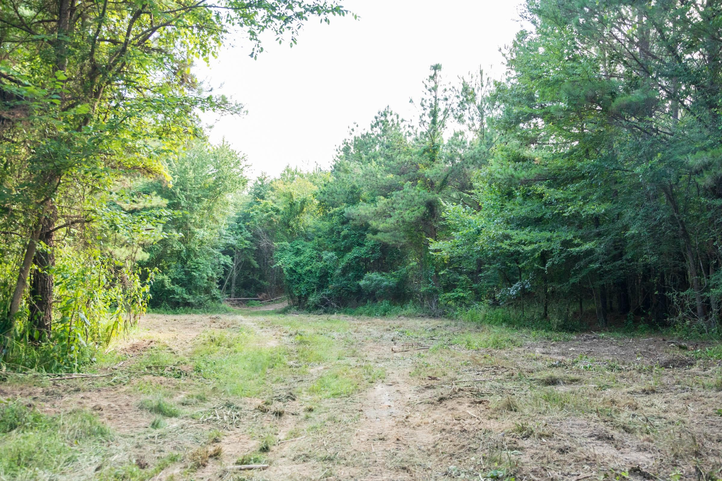 Whiskey Ridge — Zero Credit Land owner financed land for sale in Henderson County, Tennessee photo 77
