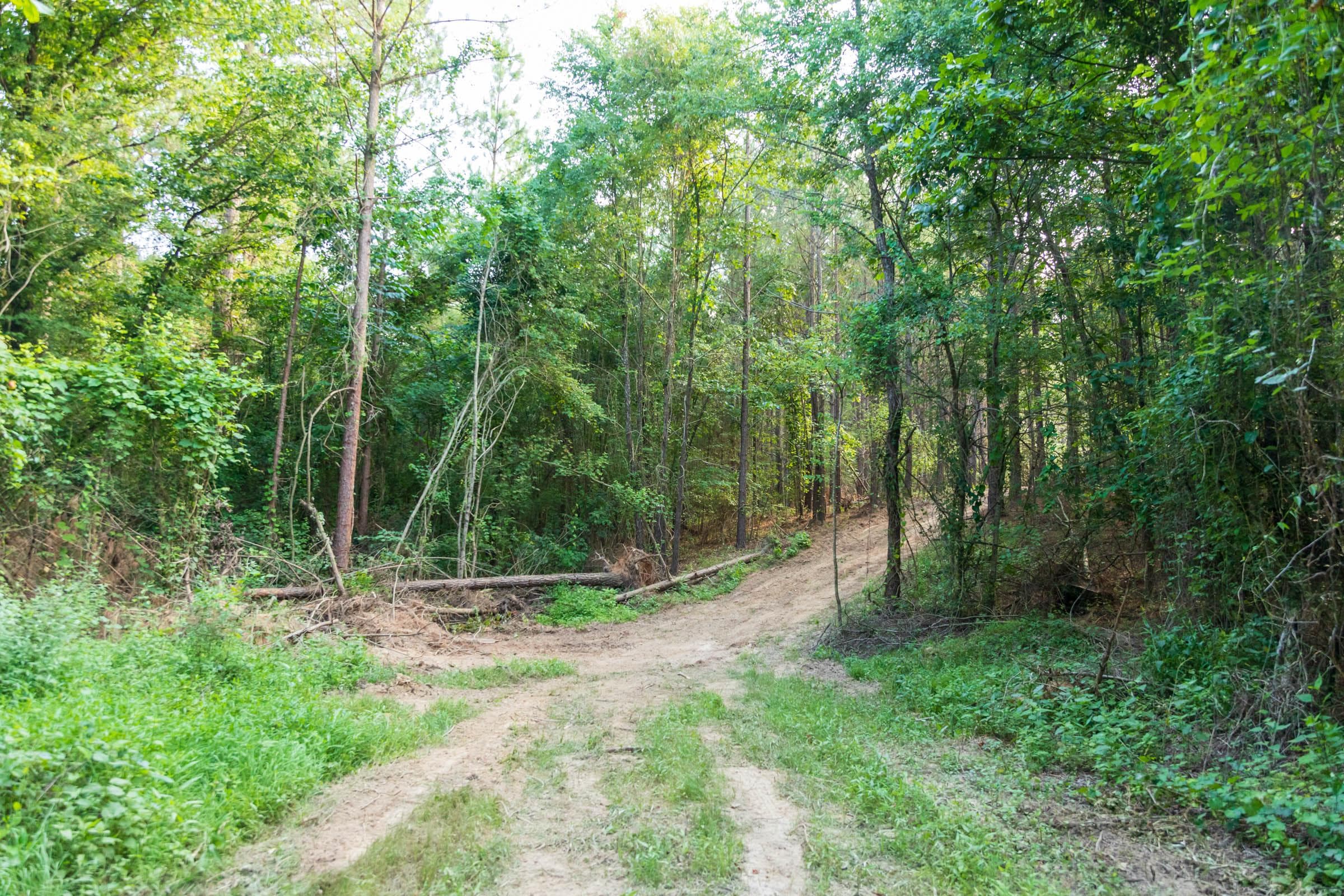 Whiskey Ridge — Zero Credit Land owner financed land for sale in Henderson County, Tennessee photo 73