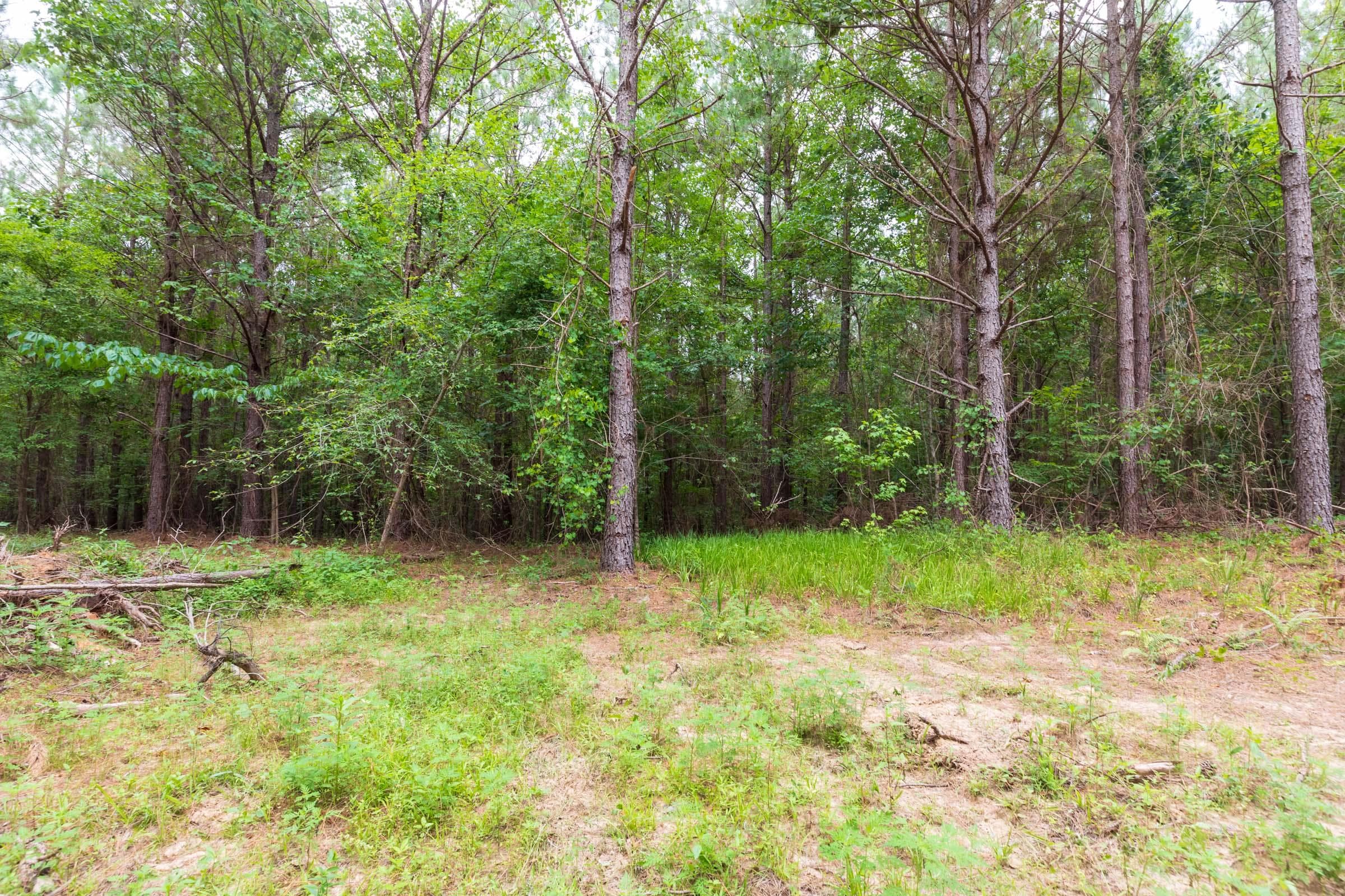 Whiskey Ridge — Zero Credit Land owner financed land for sale in Henderson County, Tennessee photo 68