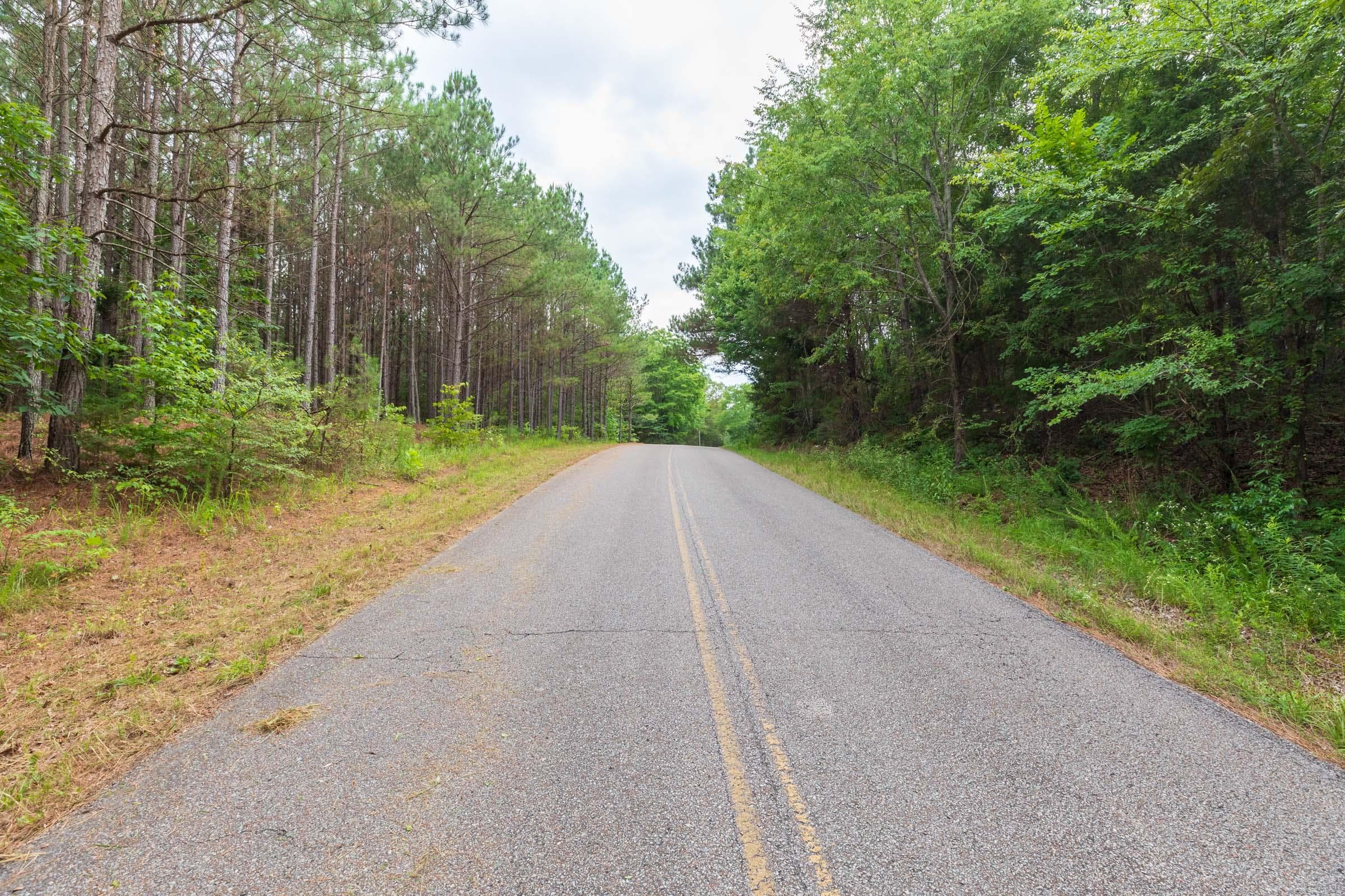 Whiskey Ridge — Zero Credit Land owner financed land for sale in Henderson County, Tennessee photo 63