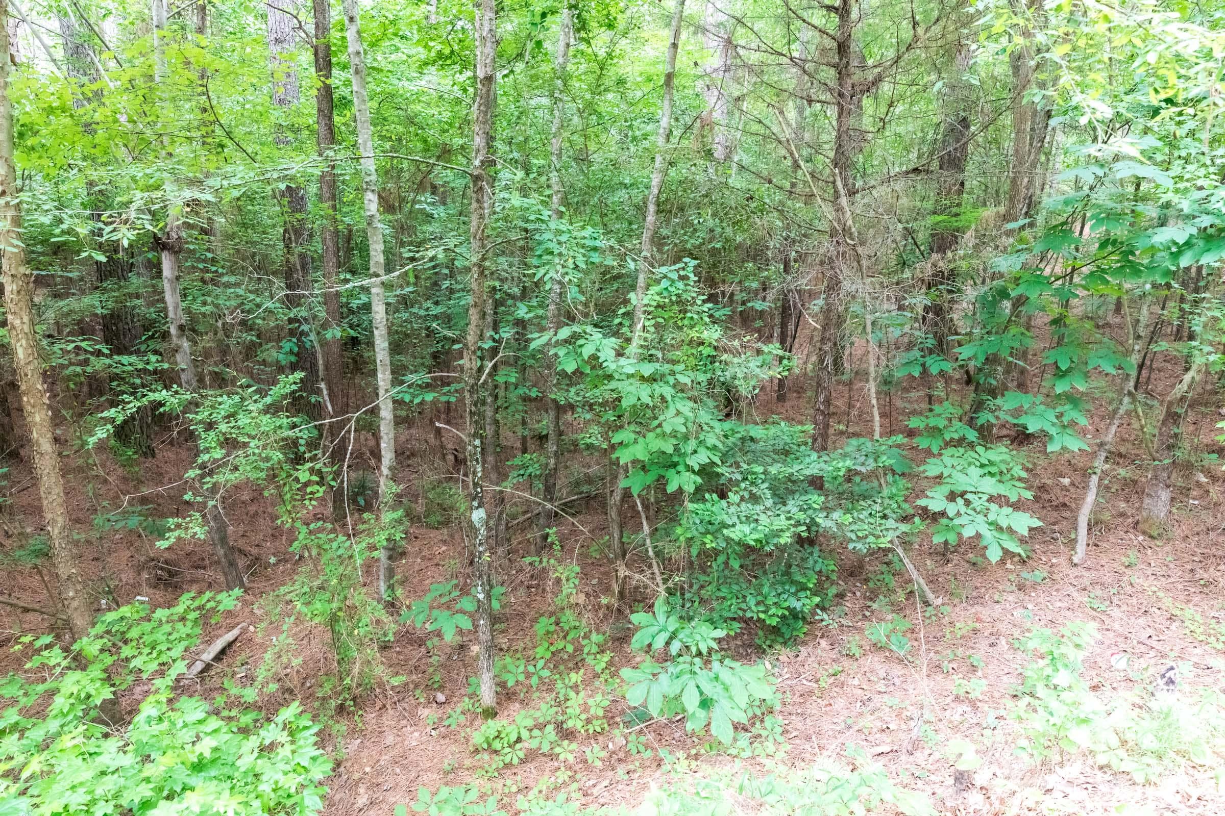 Whiskey Ridge — Zero Credit Land owner financed land for sale in Henderson County, Tennessee photo 65