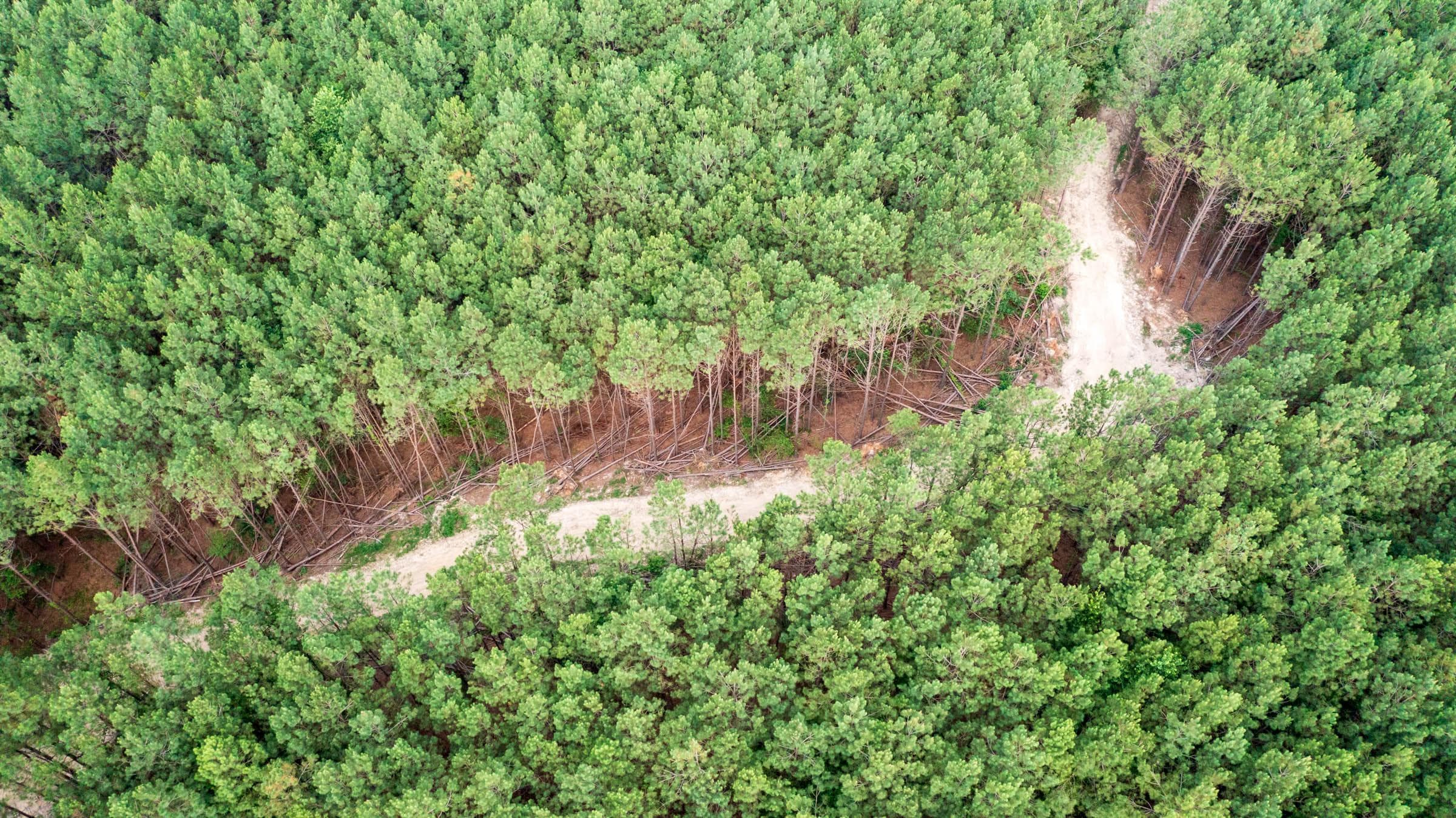 Whiskey Ridge — Zero Credit Land owner financed land for sale in Henderson County, Tennessee photo 61