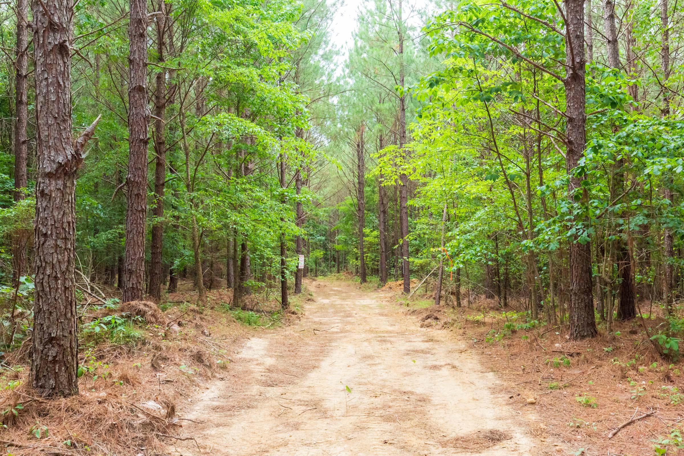 Whiskey Ridge — Zero Credit Land owner financed land for sale in Henderson County, Tennessee photo 56