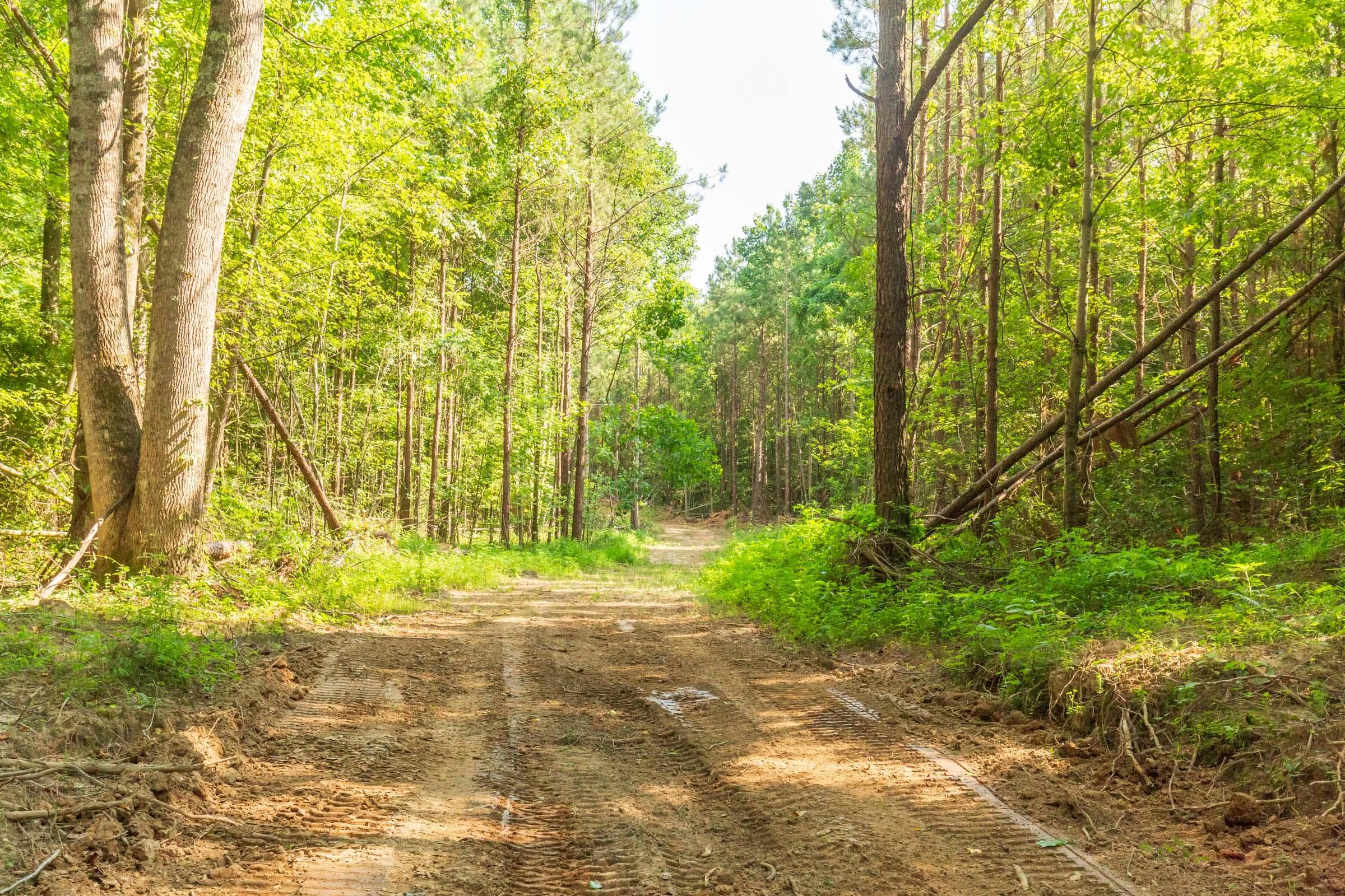 Whiskey Ridge — Zero Credit Land owner financed land for sale in Henderson County, Tennessee photo 50