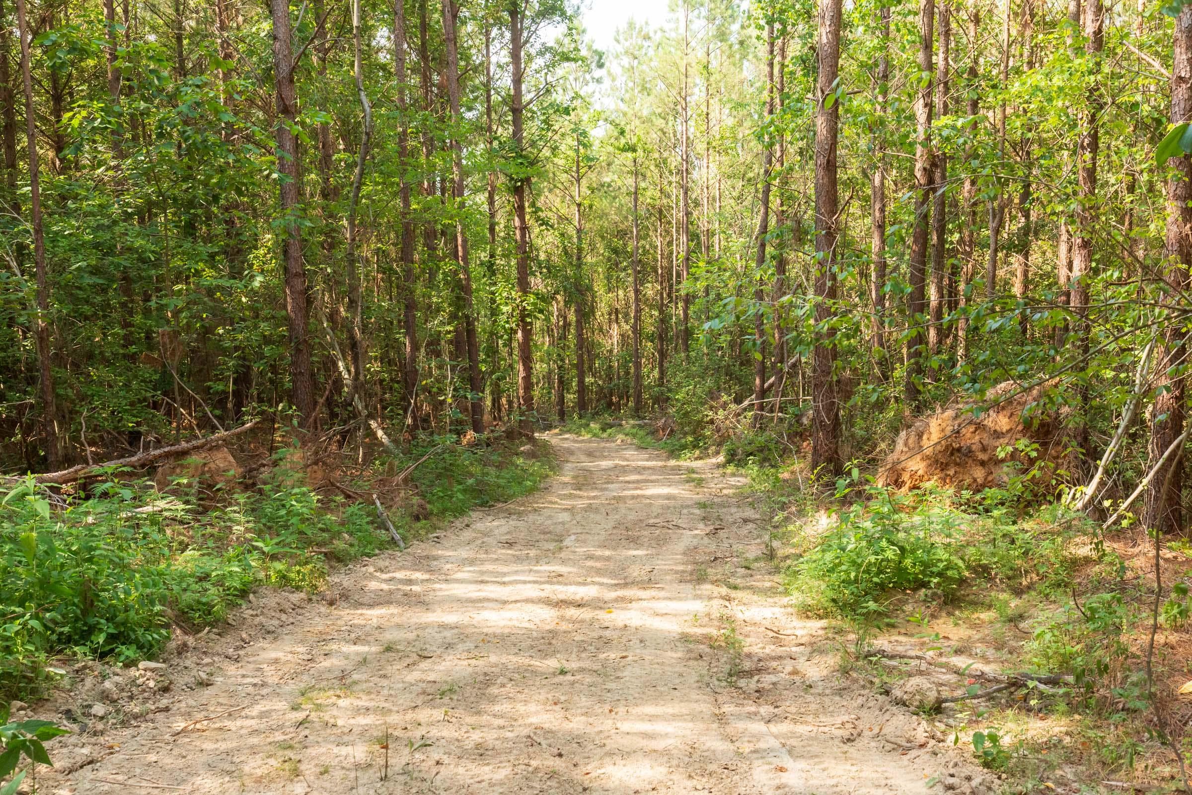 Whiskey Ridge — Zero Credit Land owner financed land for sale in Henderson County, Tennessee photo 51