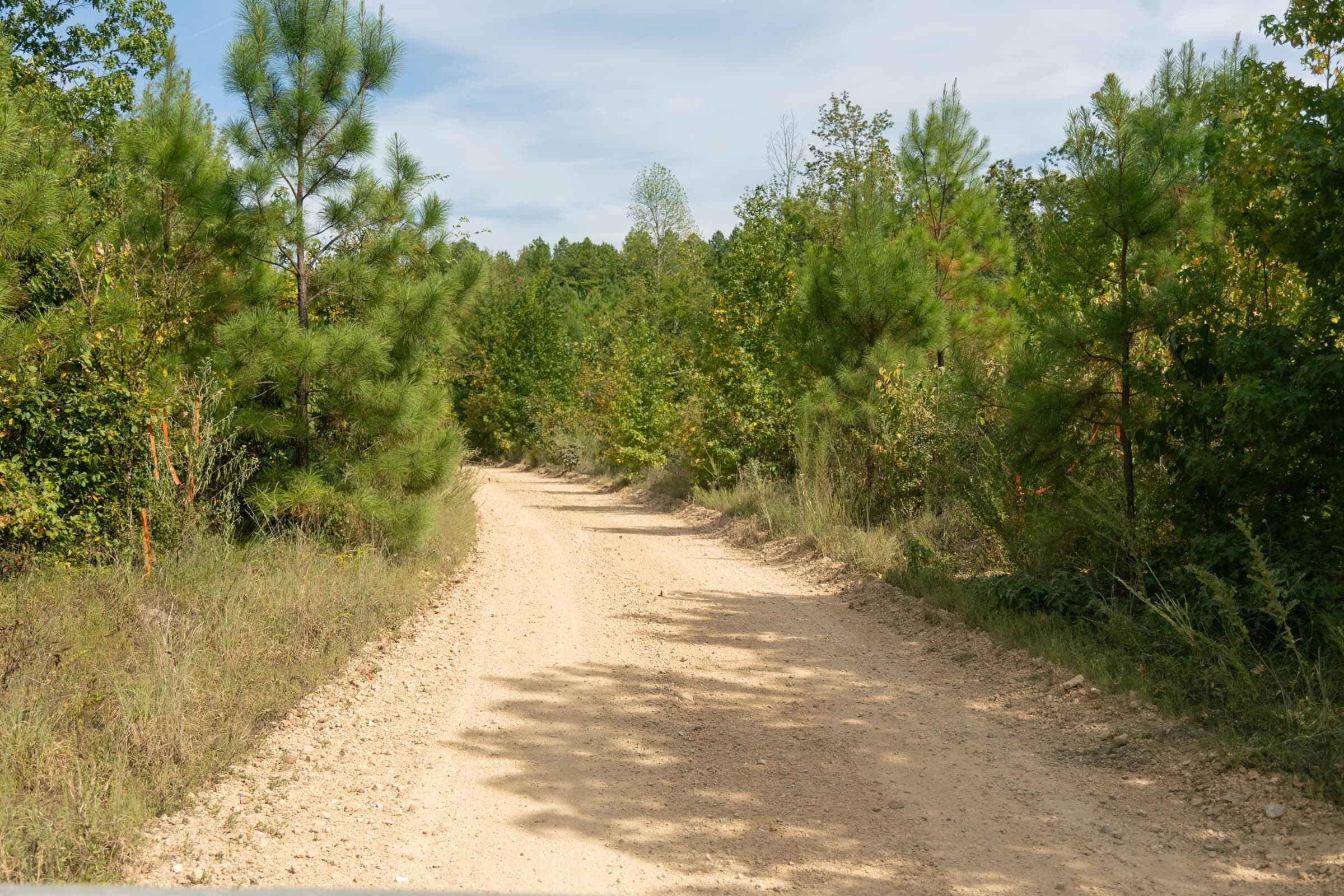 Property photo 250