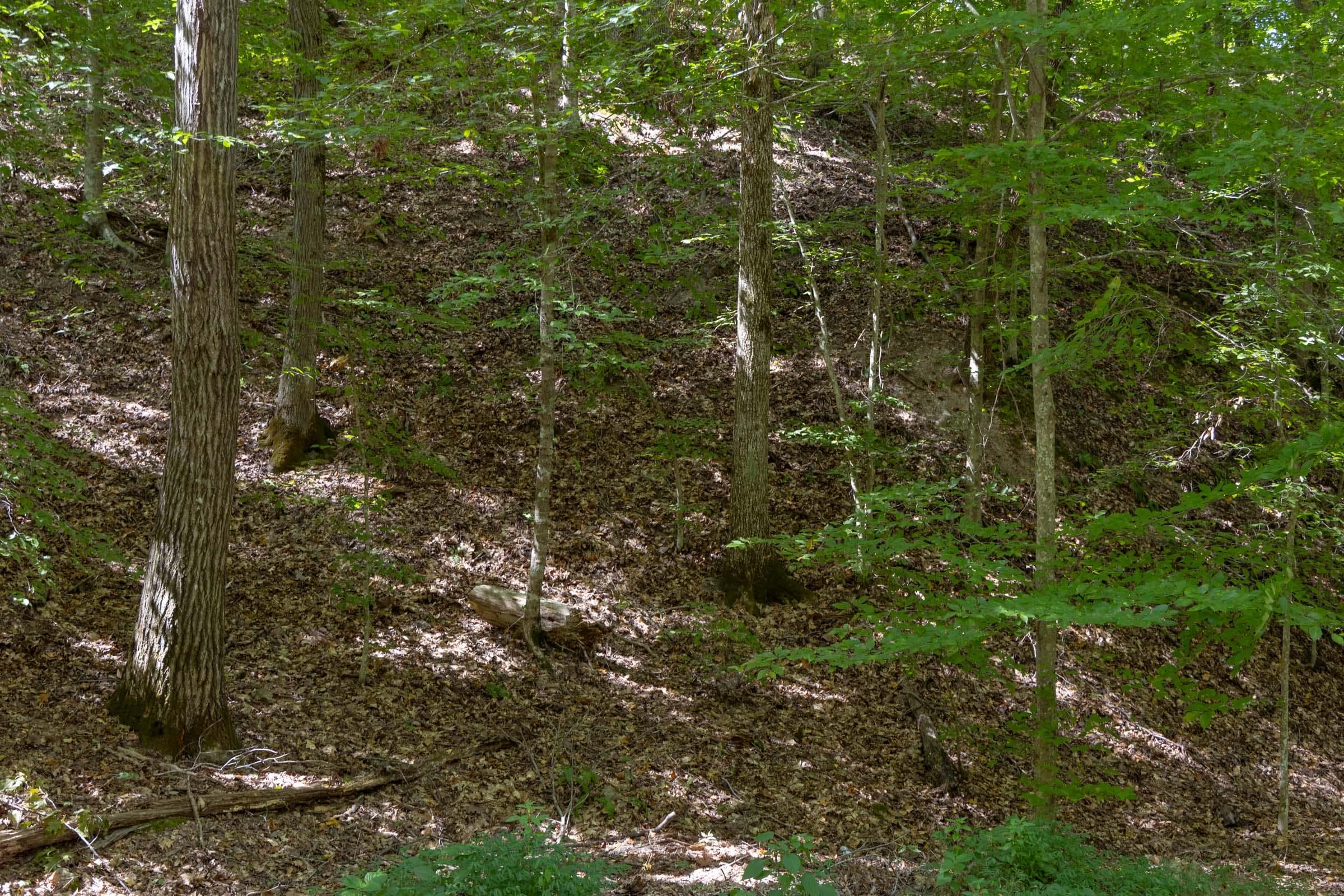 Property photo 251