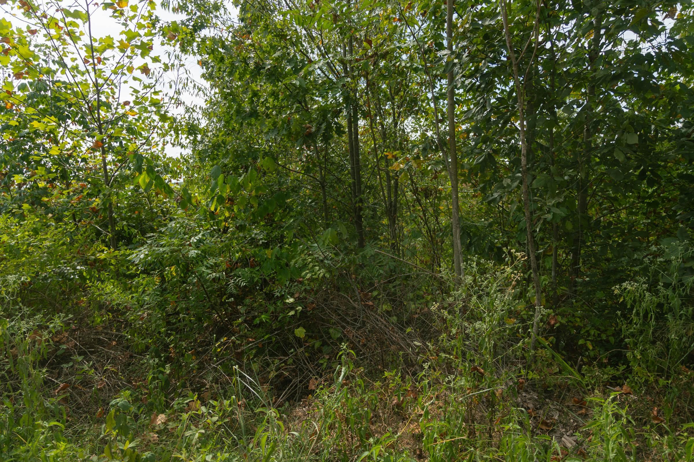 Property photo 237