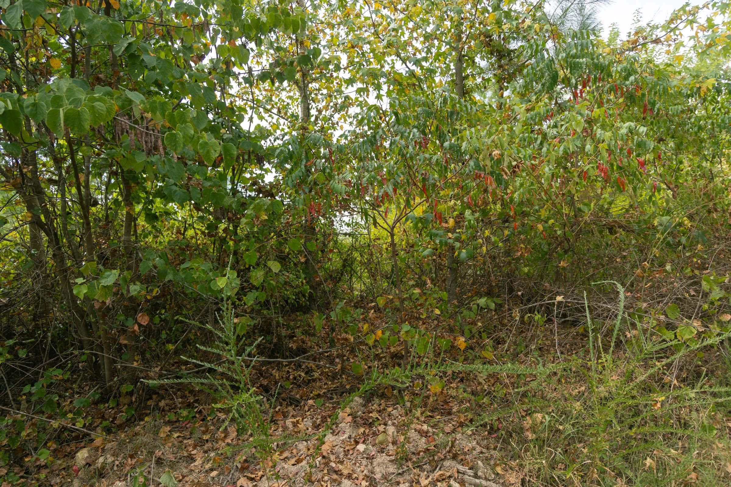 Property photo 235
