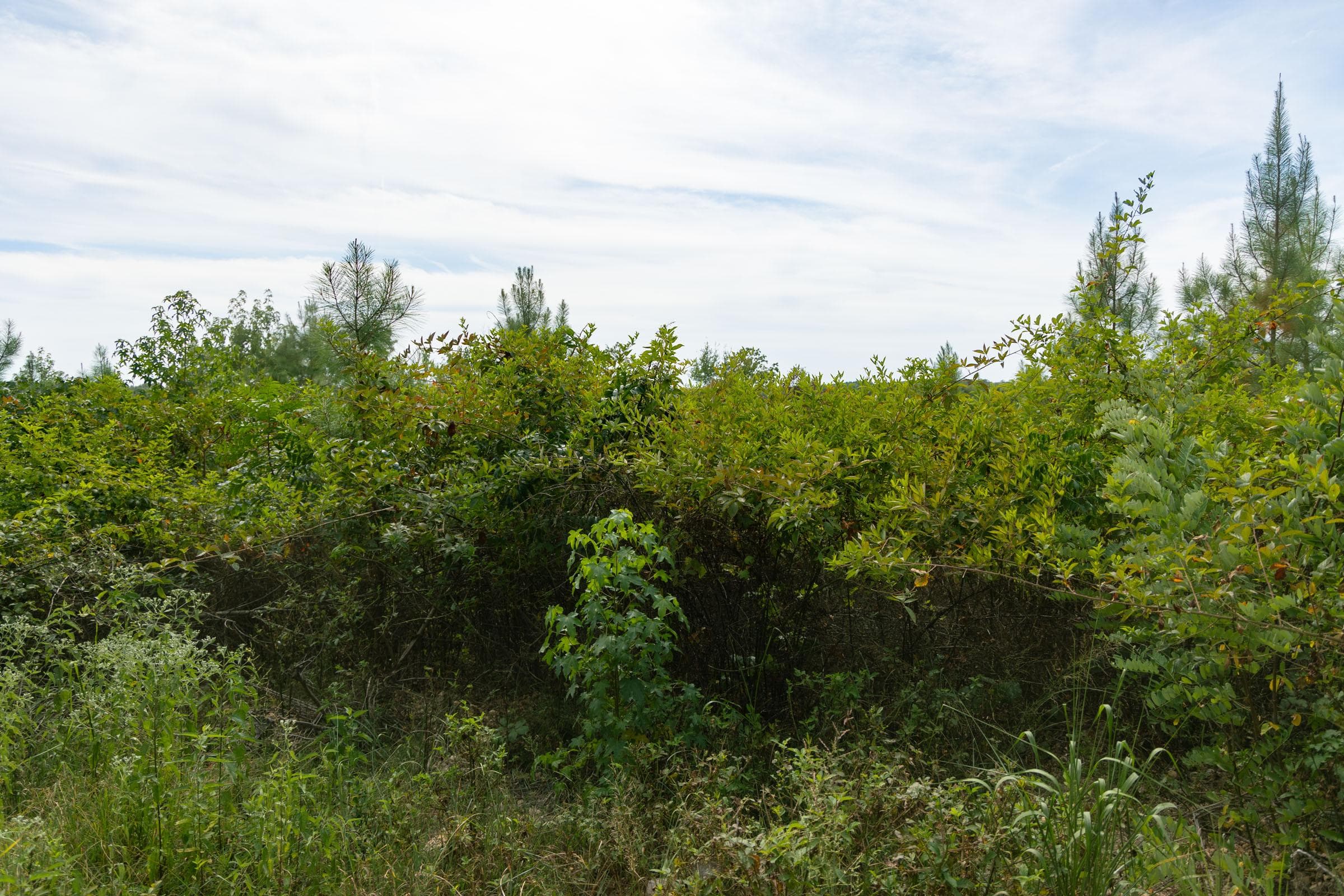 Property photo 236