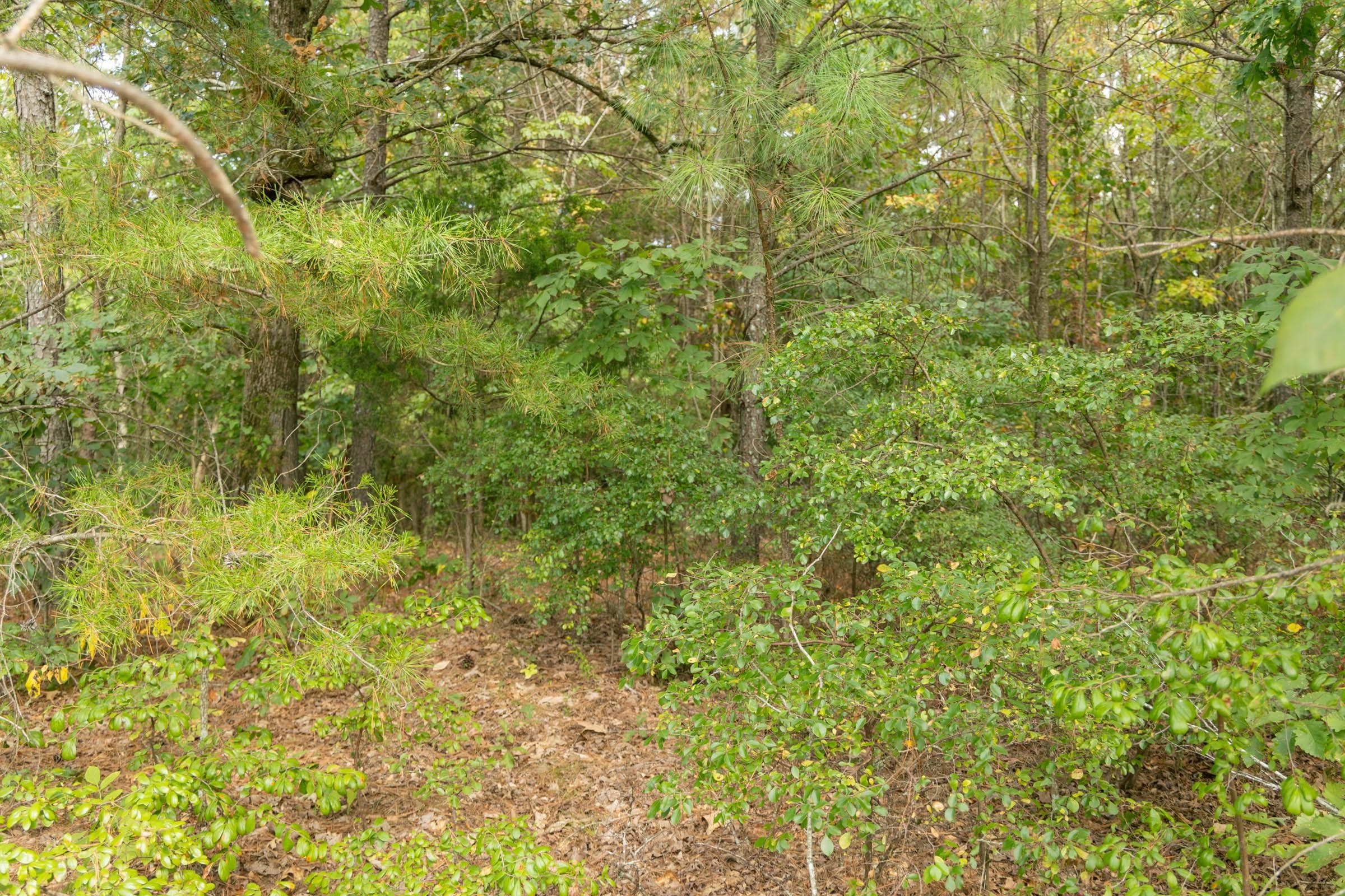 Property photo 232