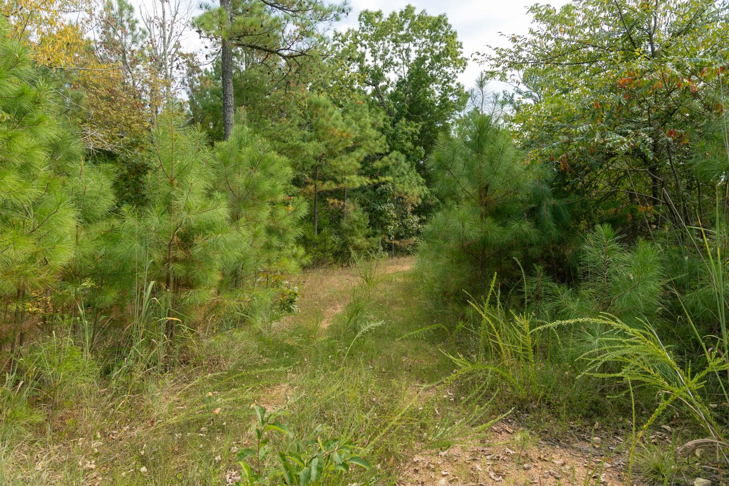 Property photo 228