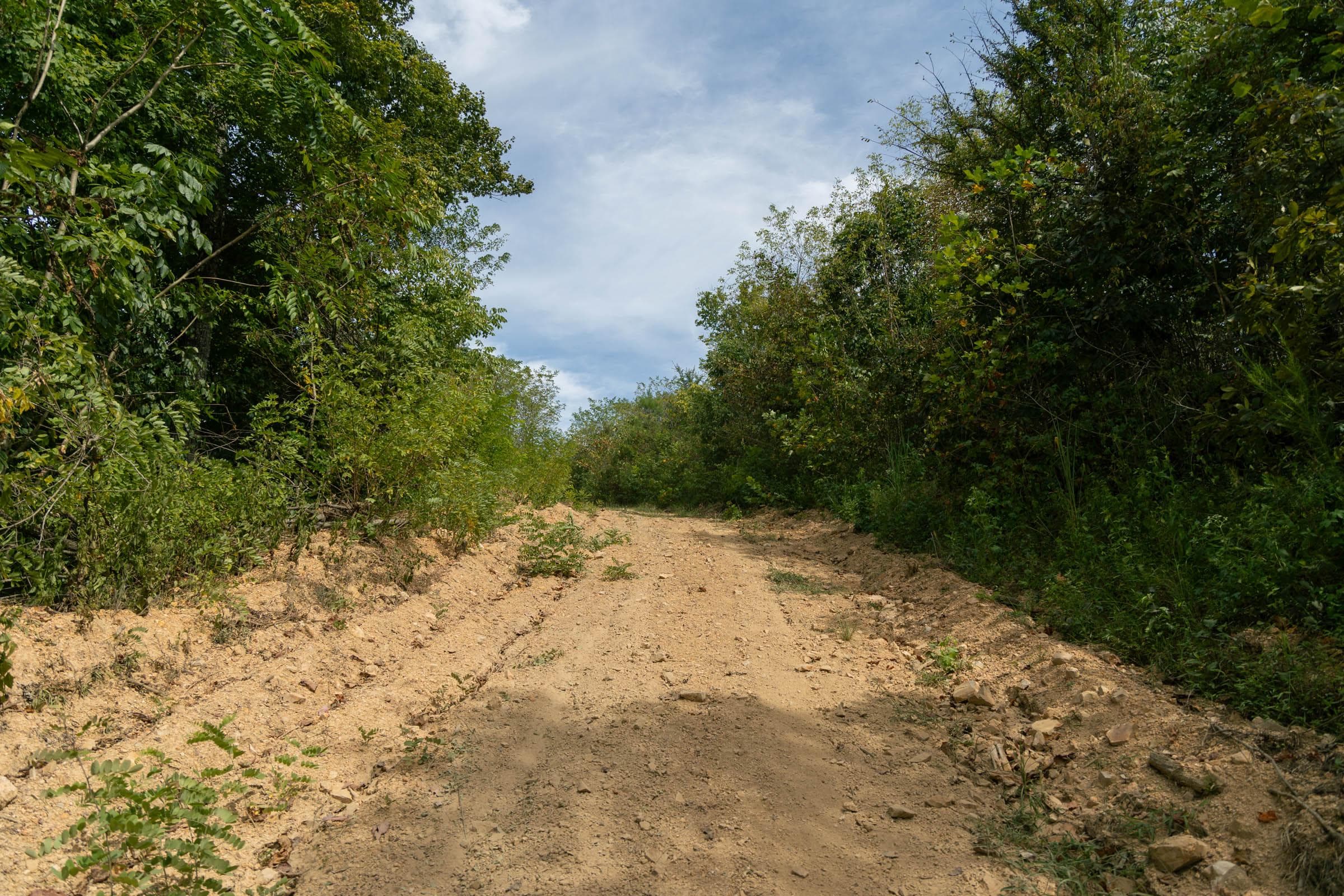 Property photo 225