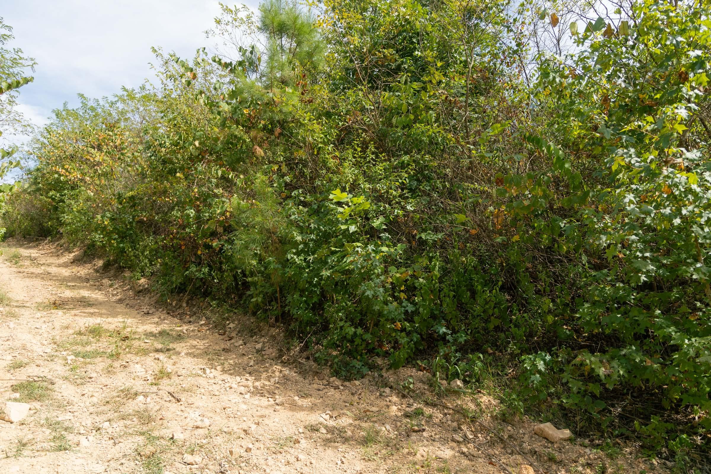 Property photo 227