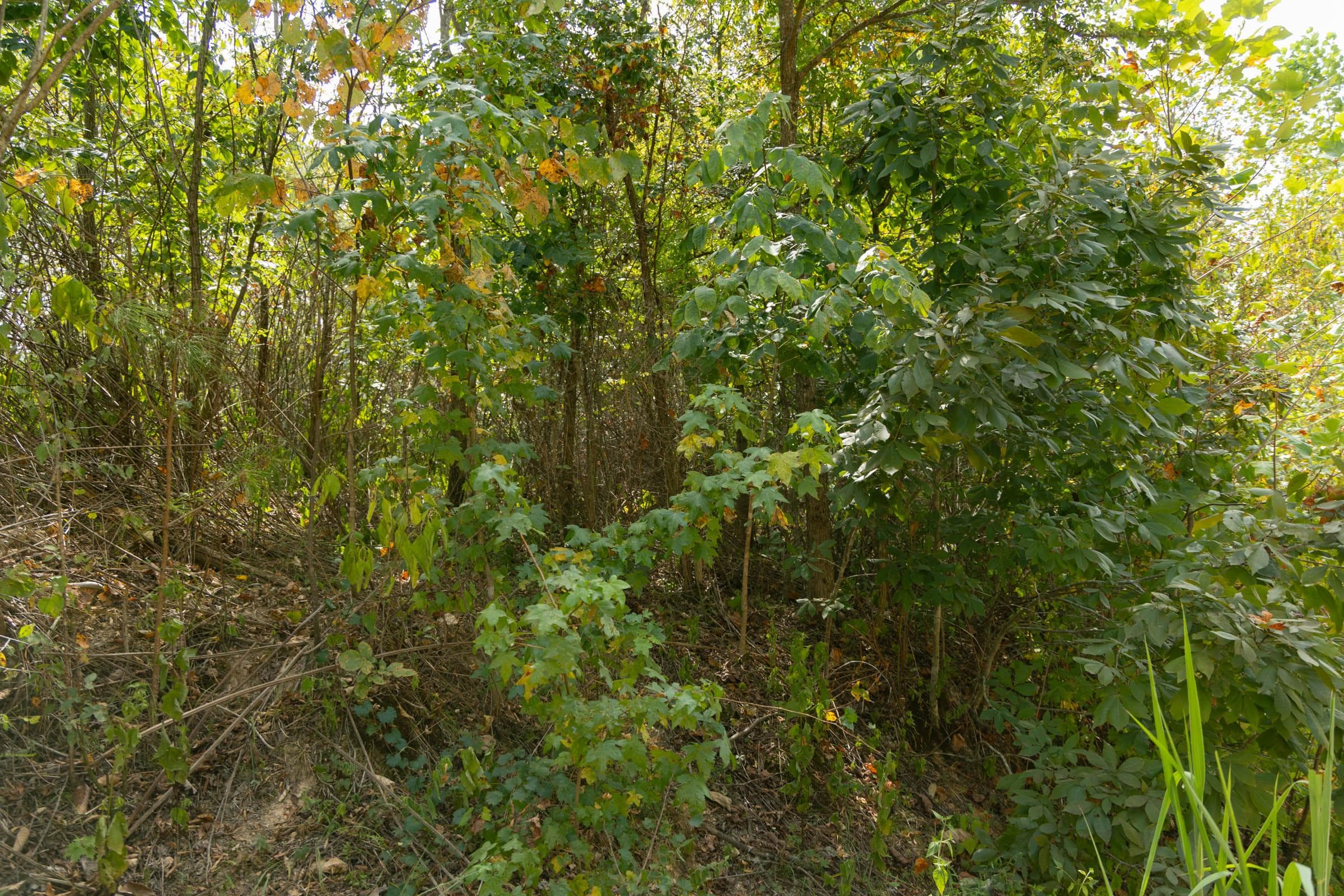 Property photo 226