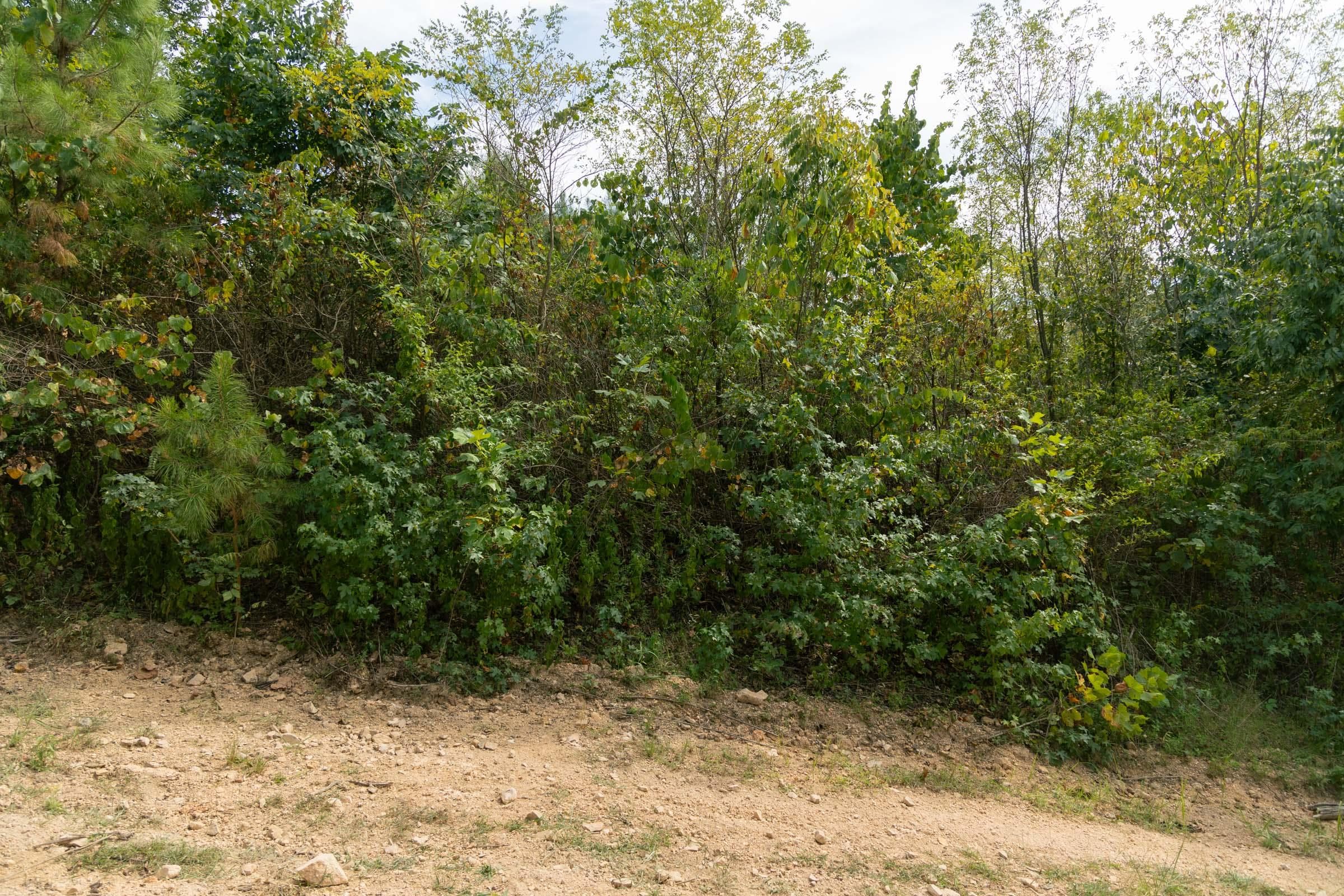 Property photo 222