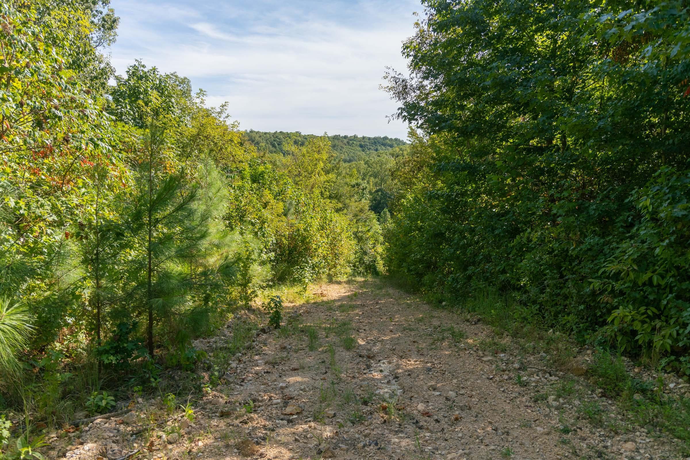 Property photo 216