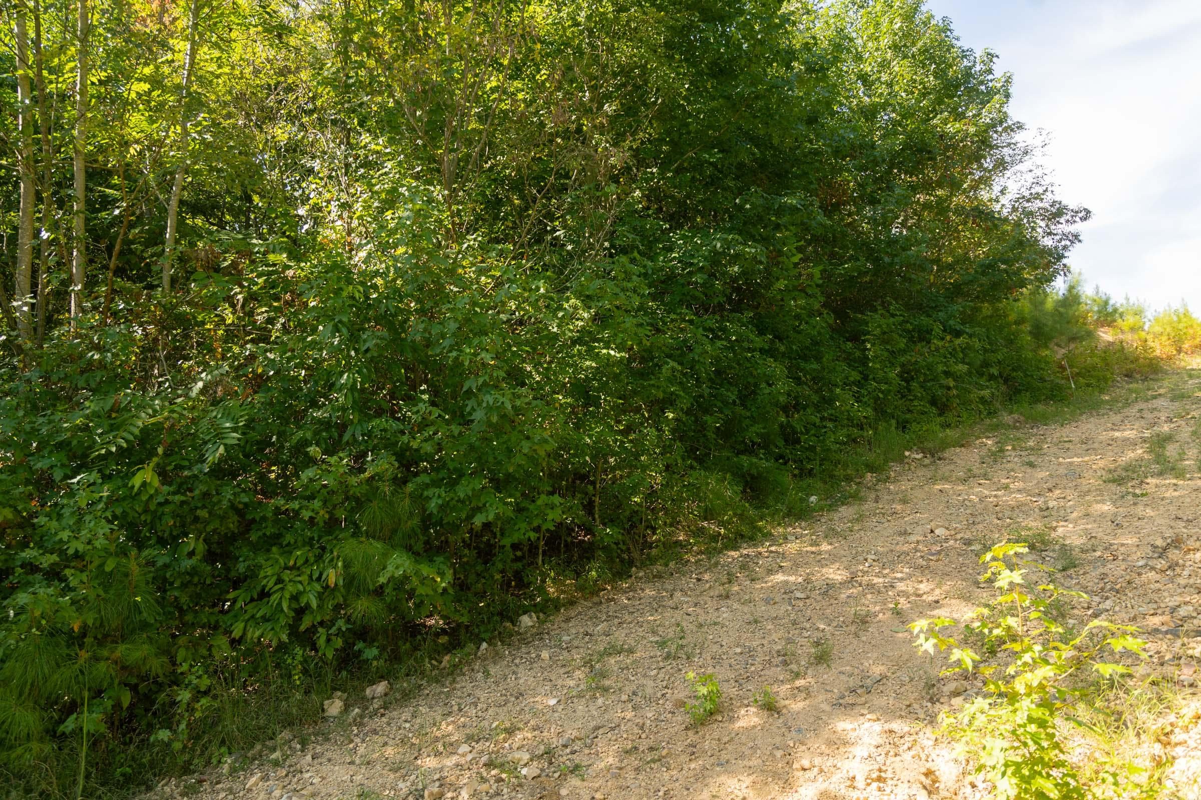 Property photo 217