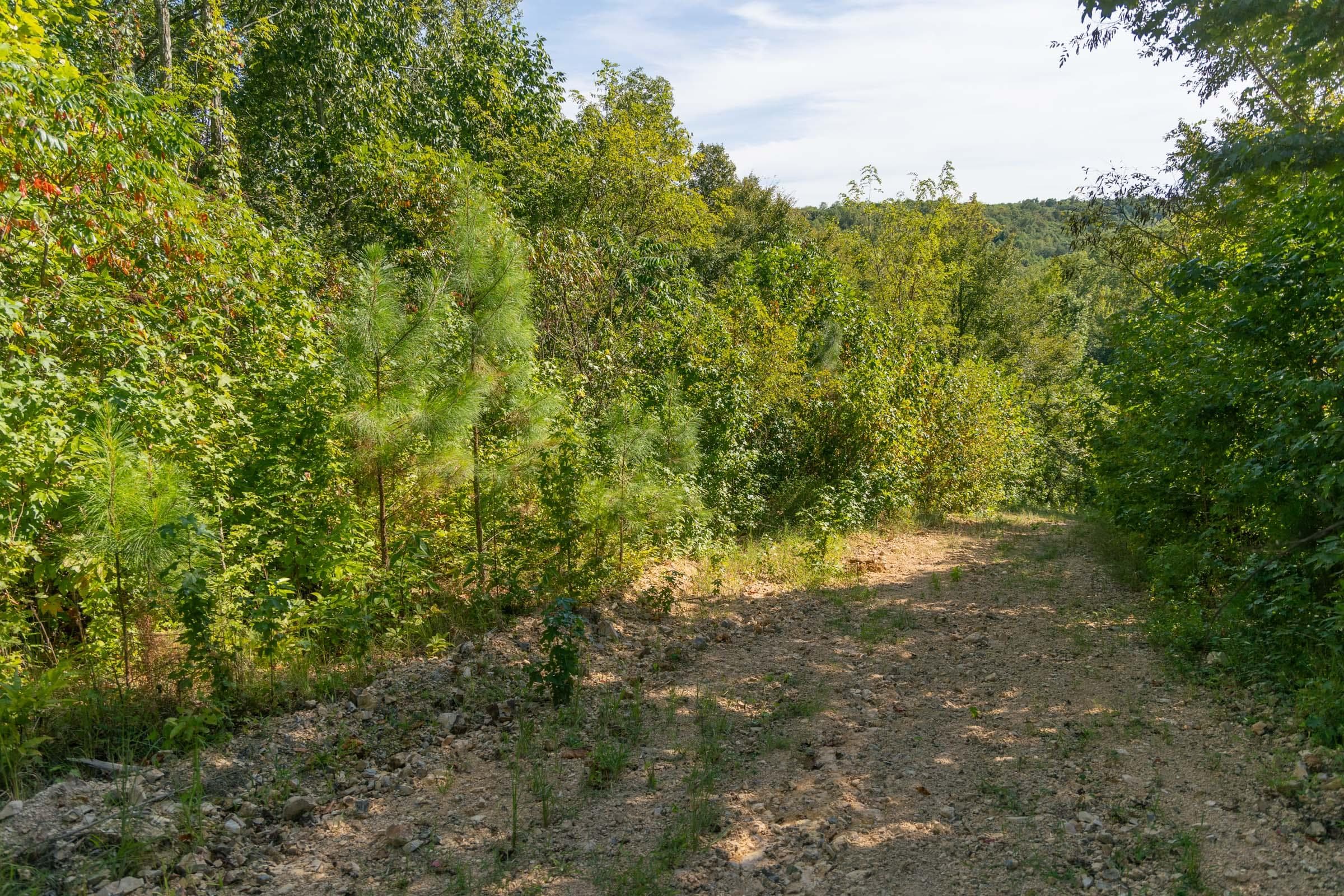 Property photo 218