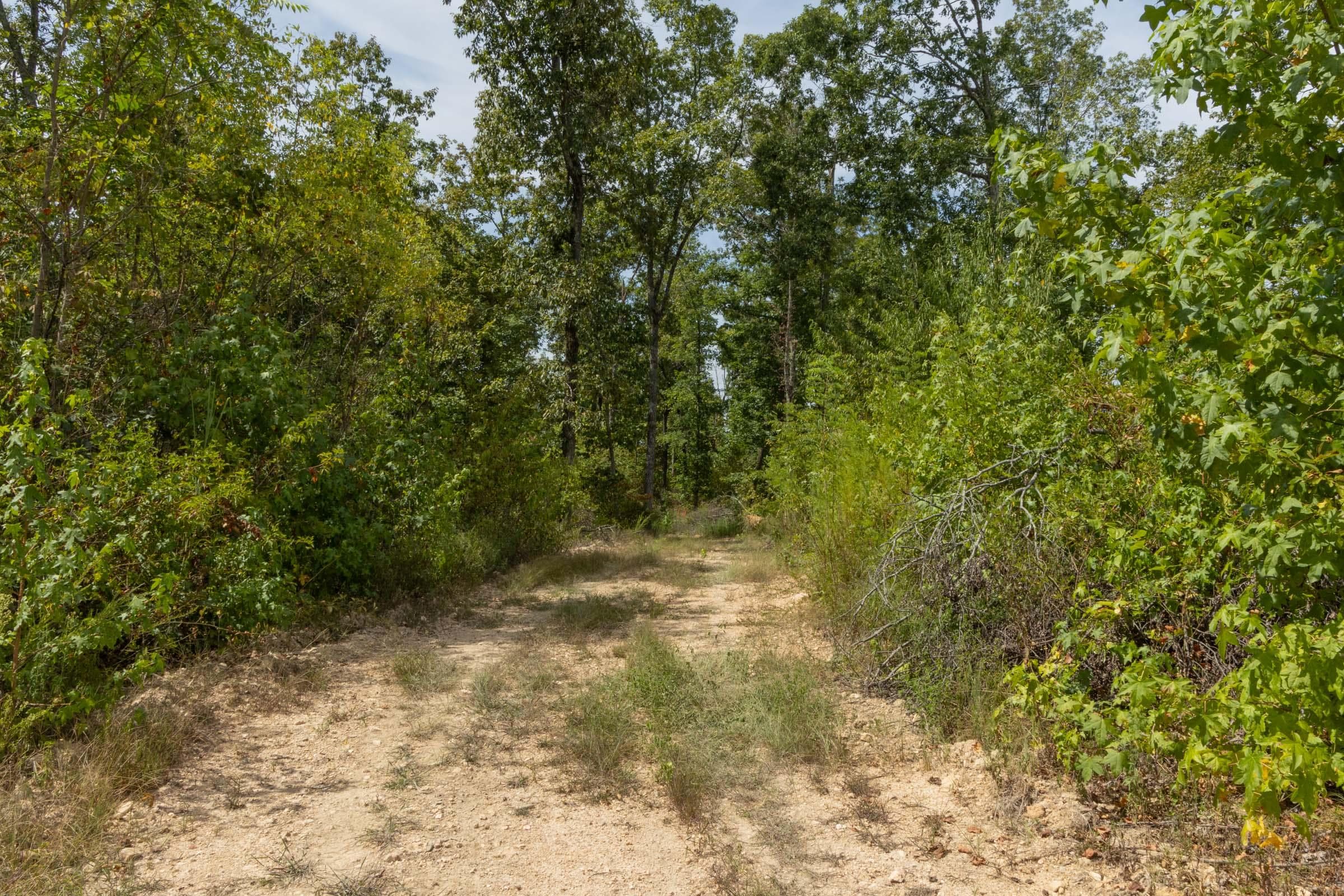 Property photo 206