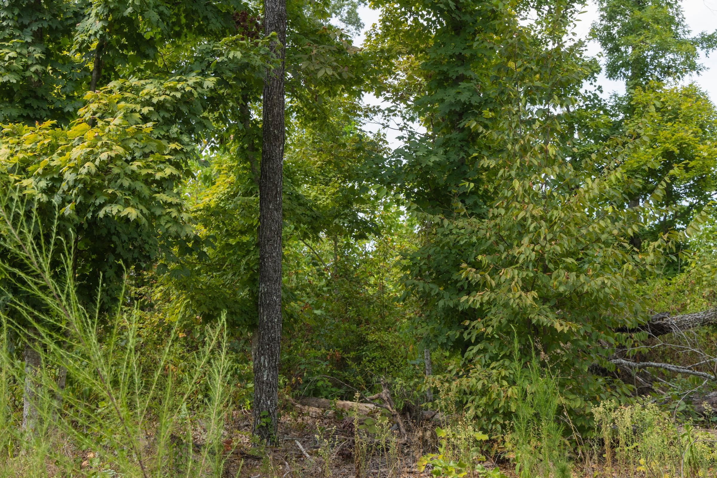 Property photo 207
