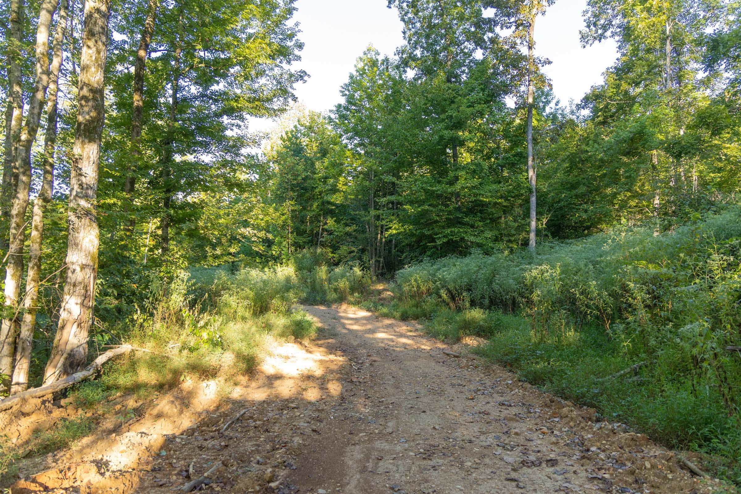 Property photo 202