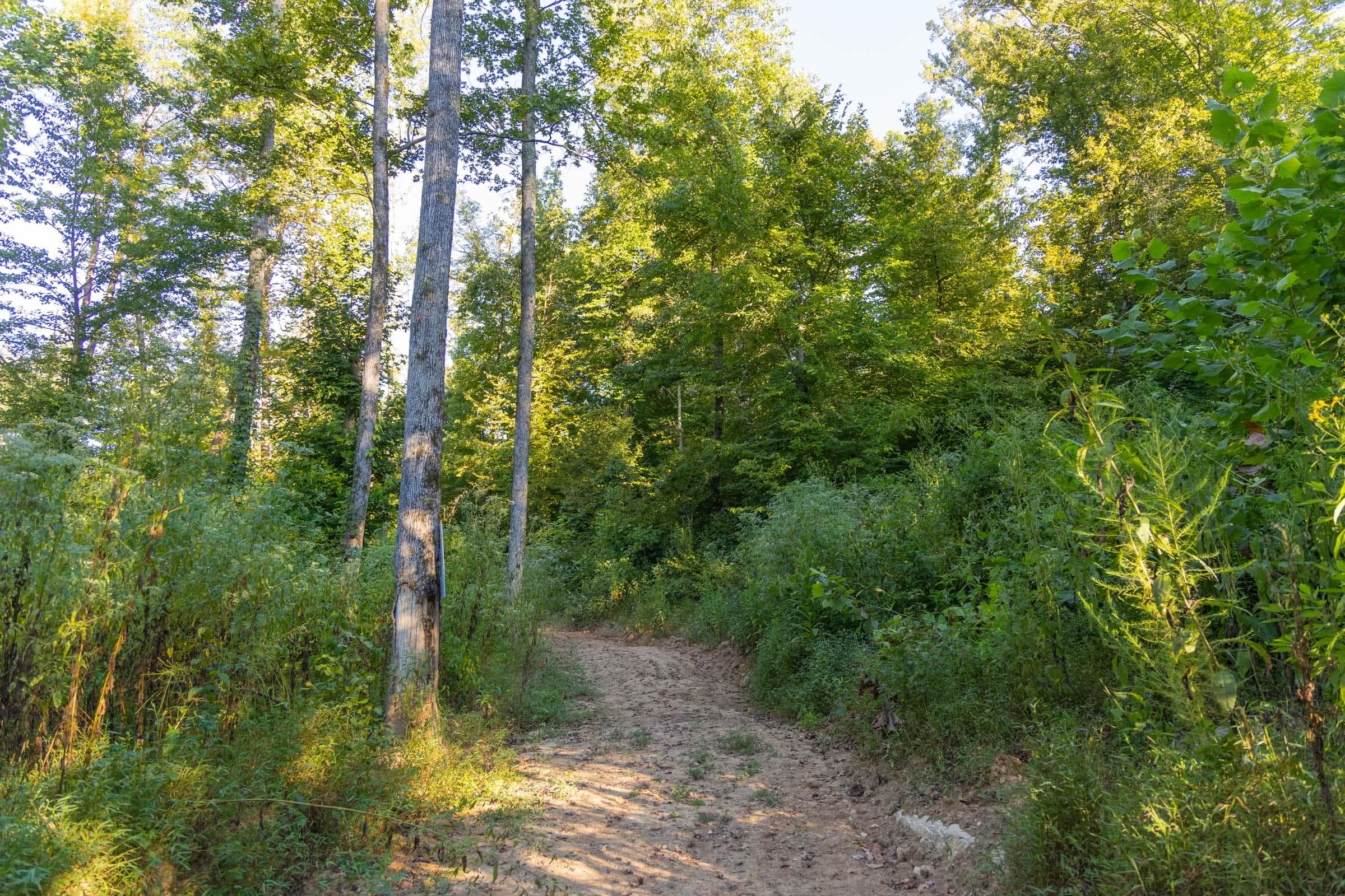 Property photo 204