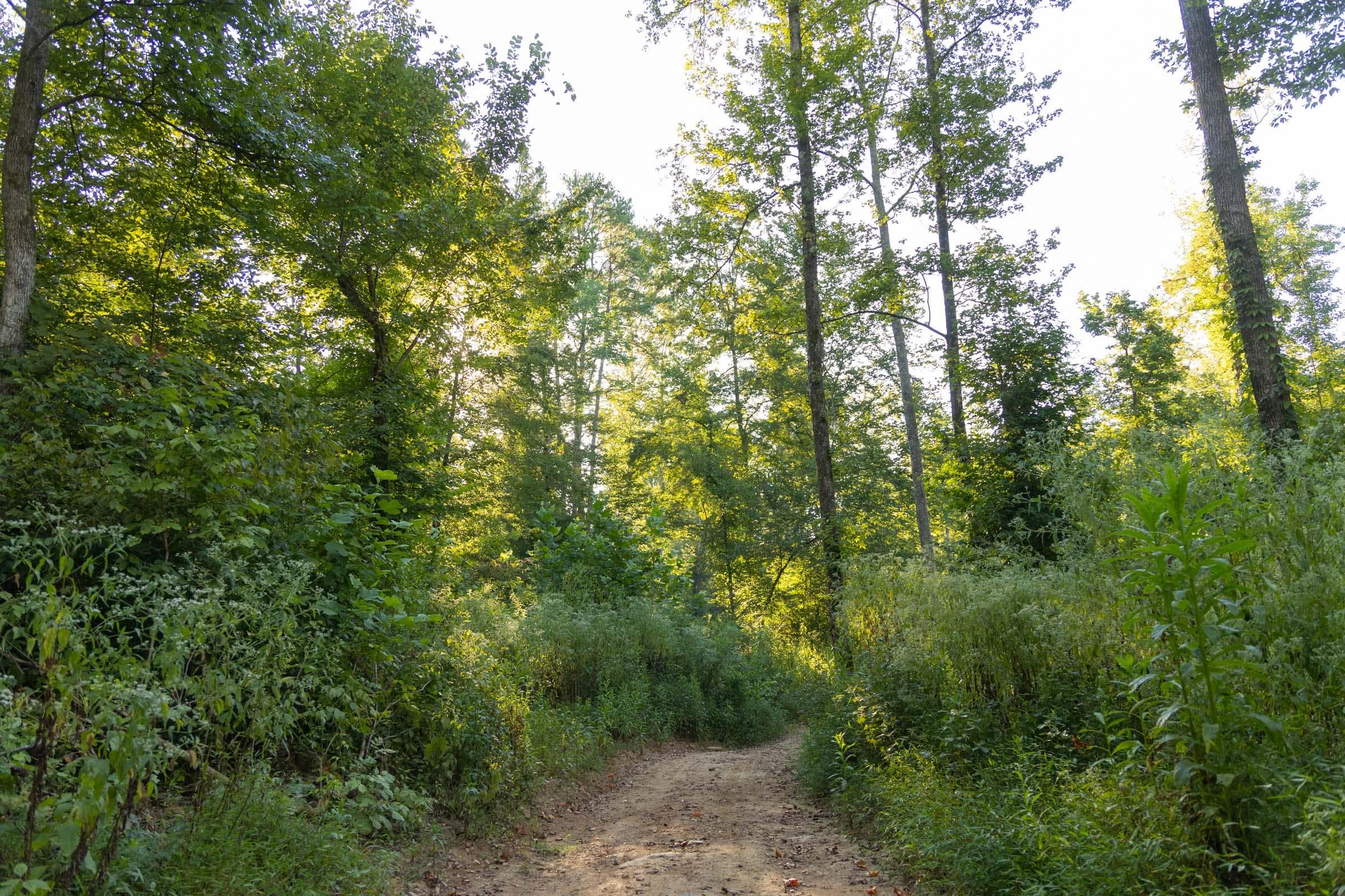 Property photo 201