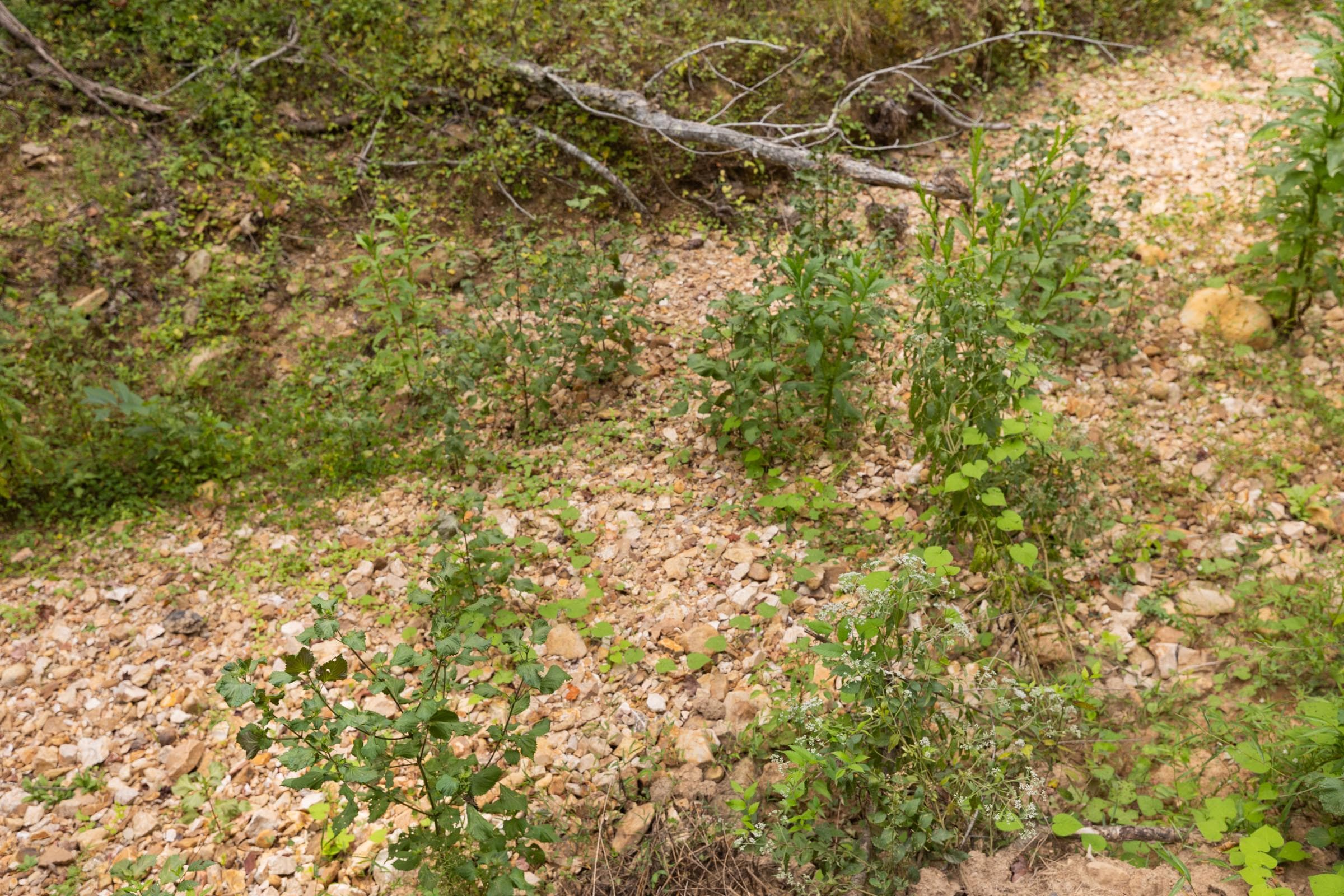 Property photo 194