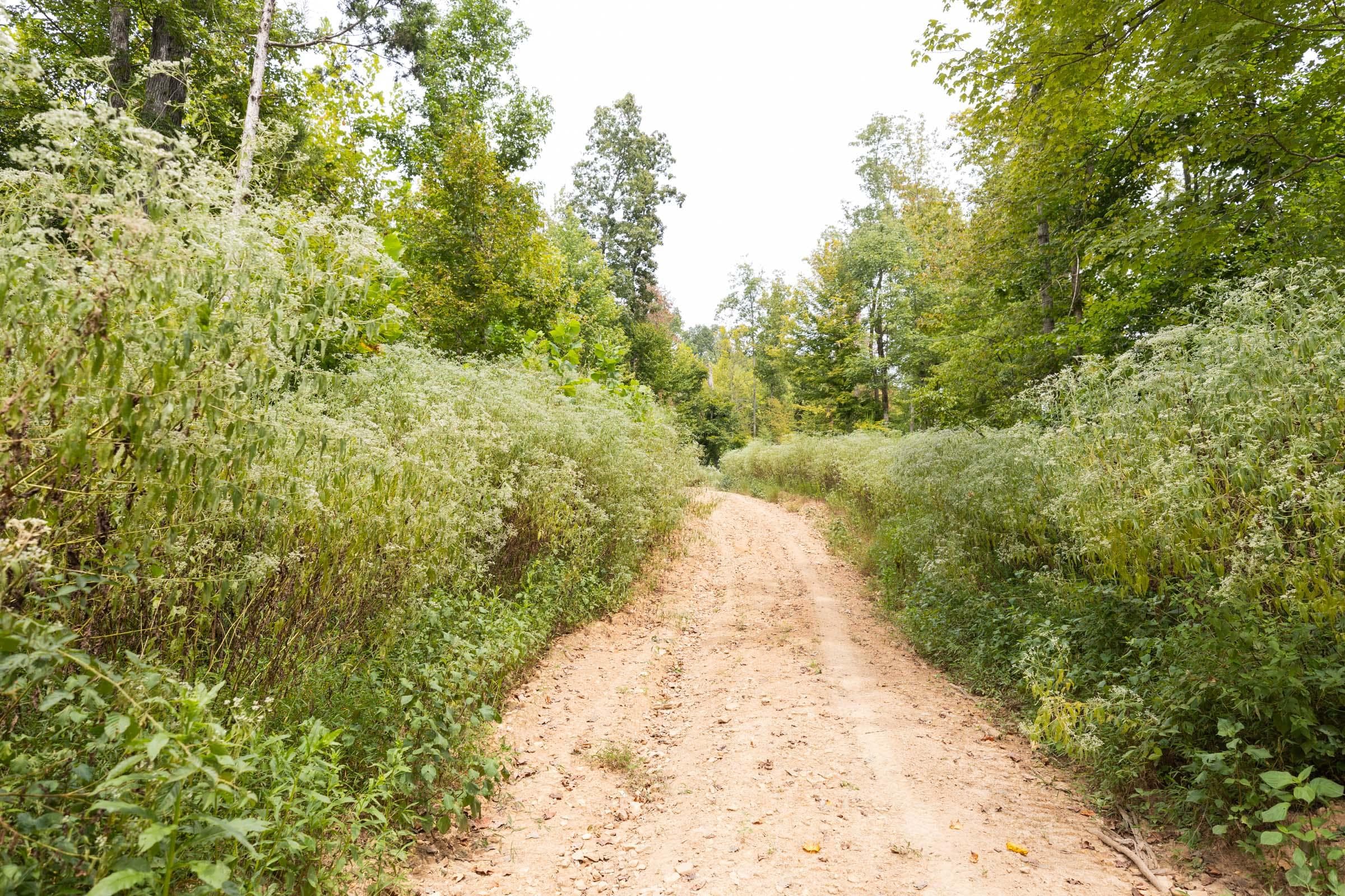 Property photo 199