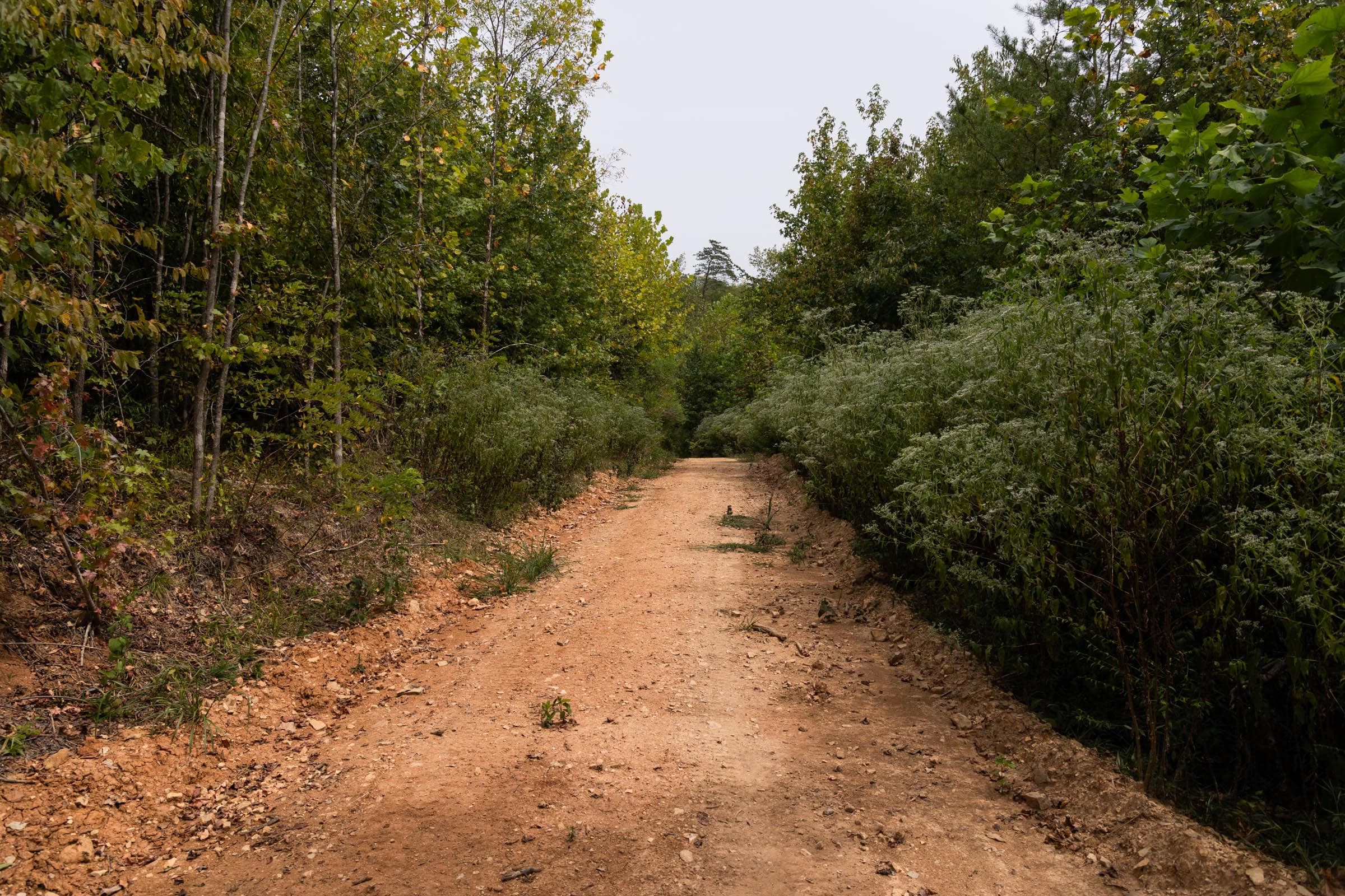 Property photo 195