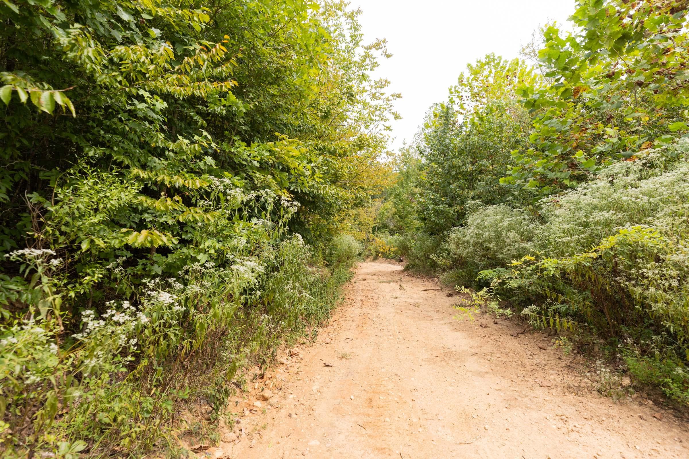 Property photo 196