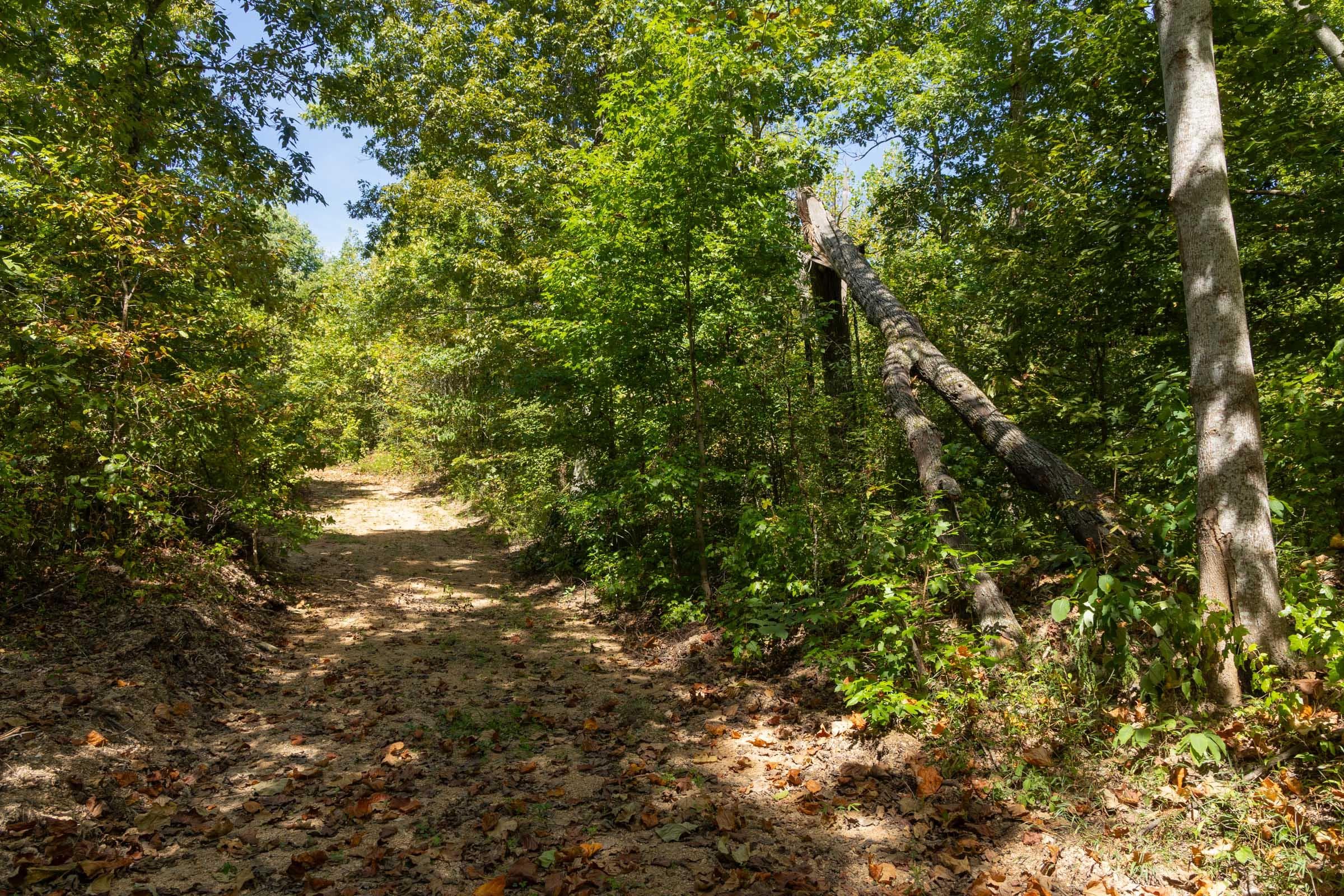 Property photo 189