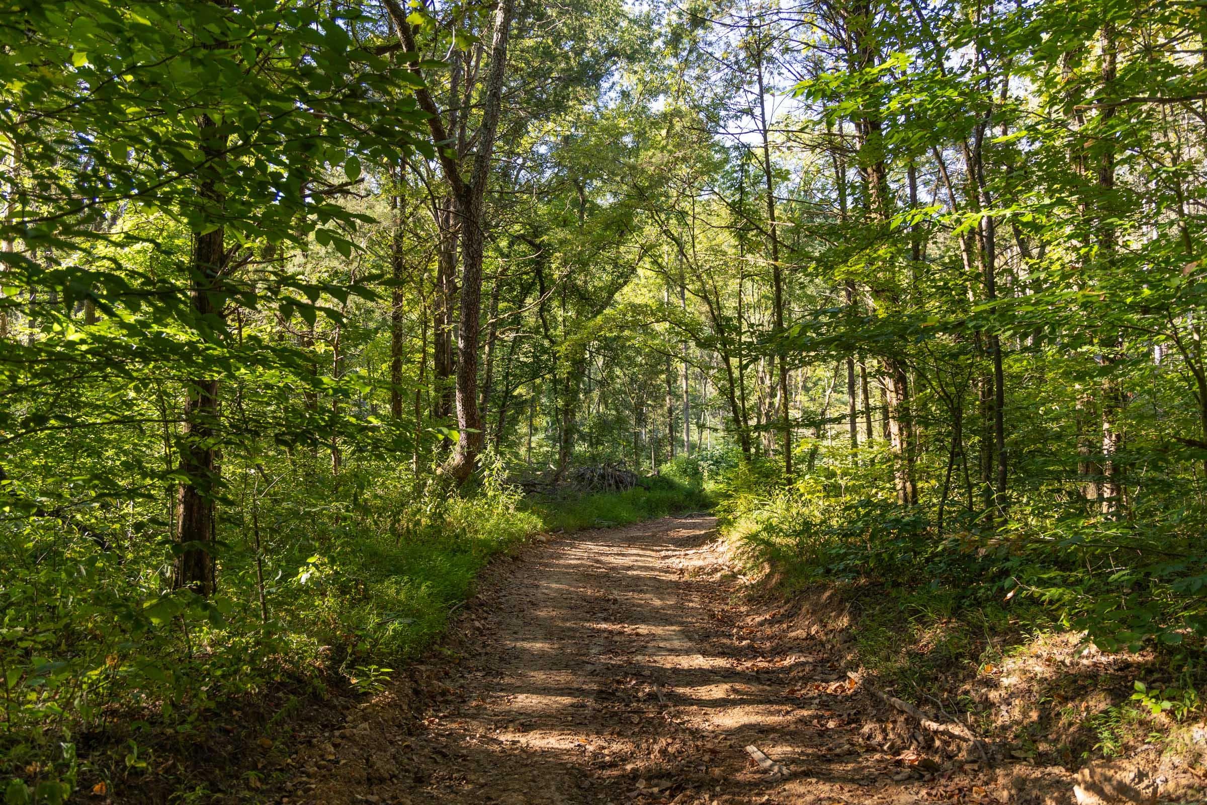 Property photo 185