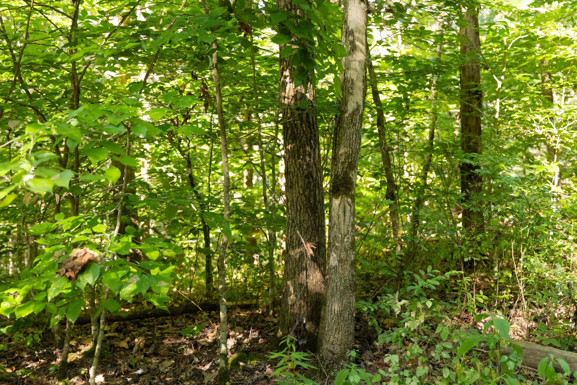 Property photo 183
