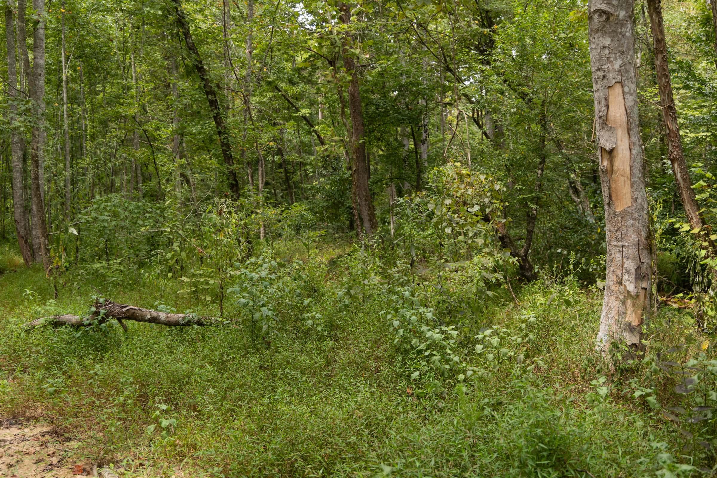 Property photo 179