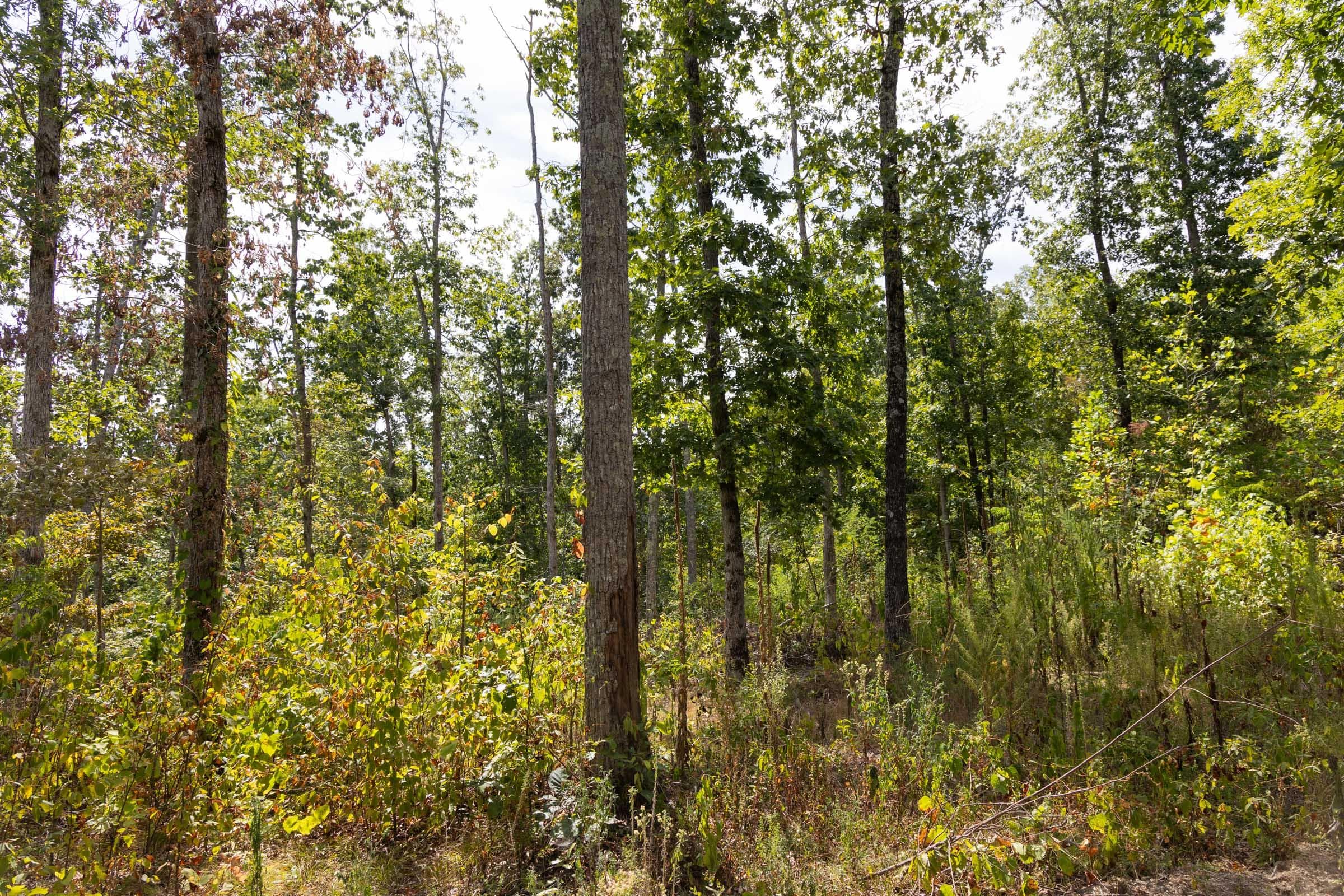 Property photo 178