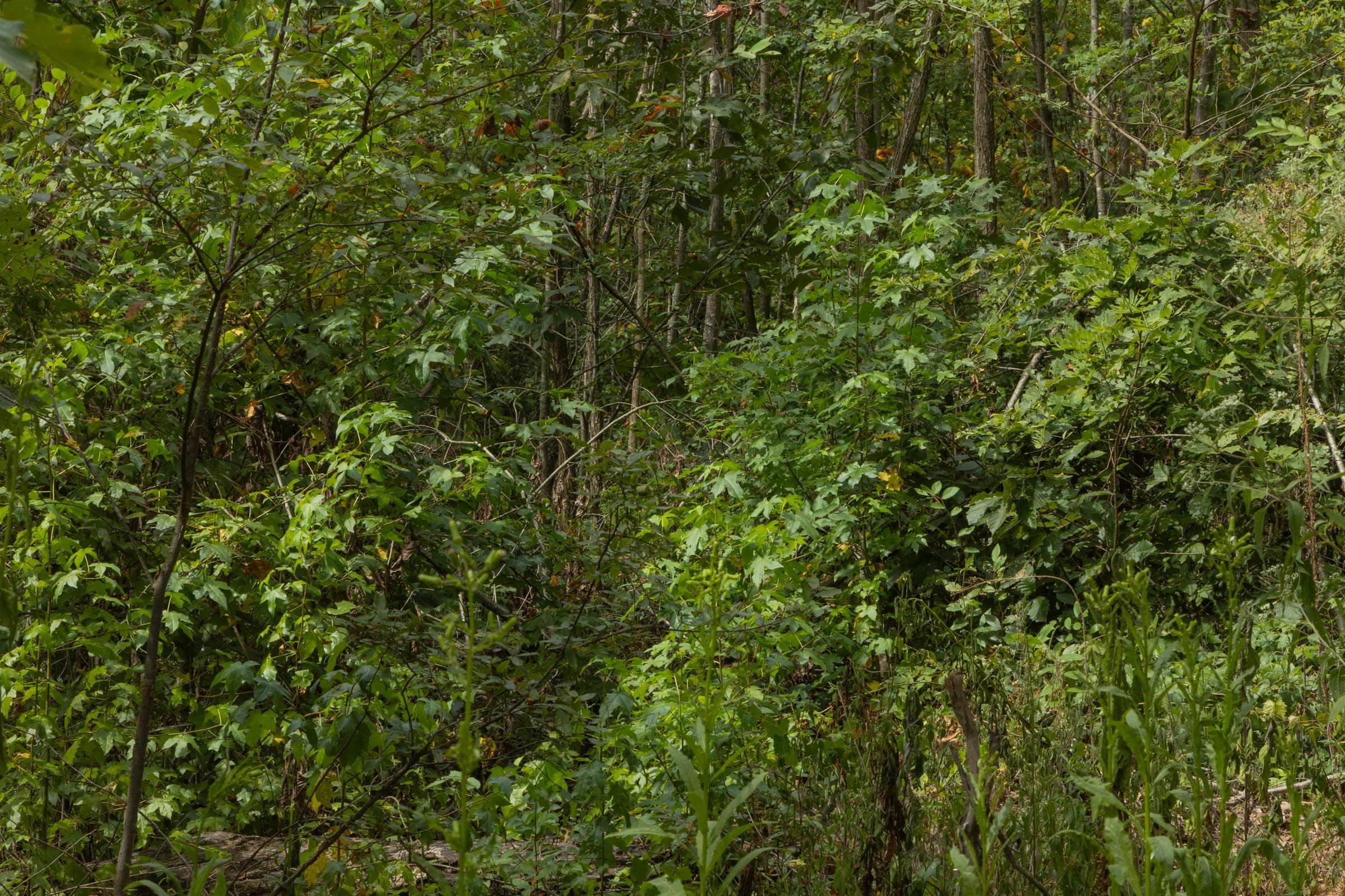 Property photo 172
