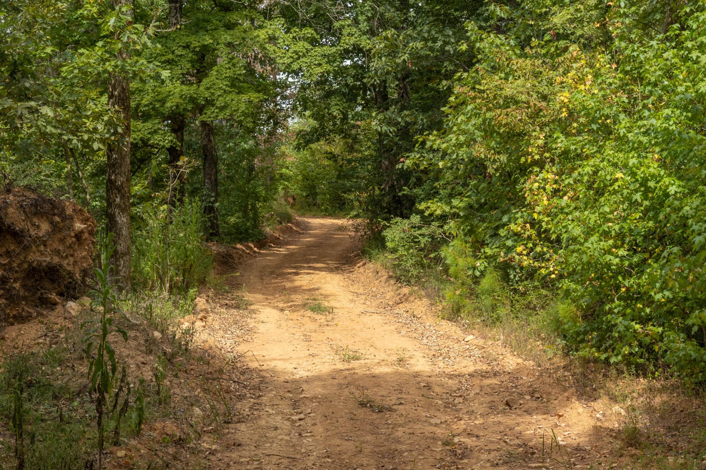 Property photo 175