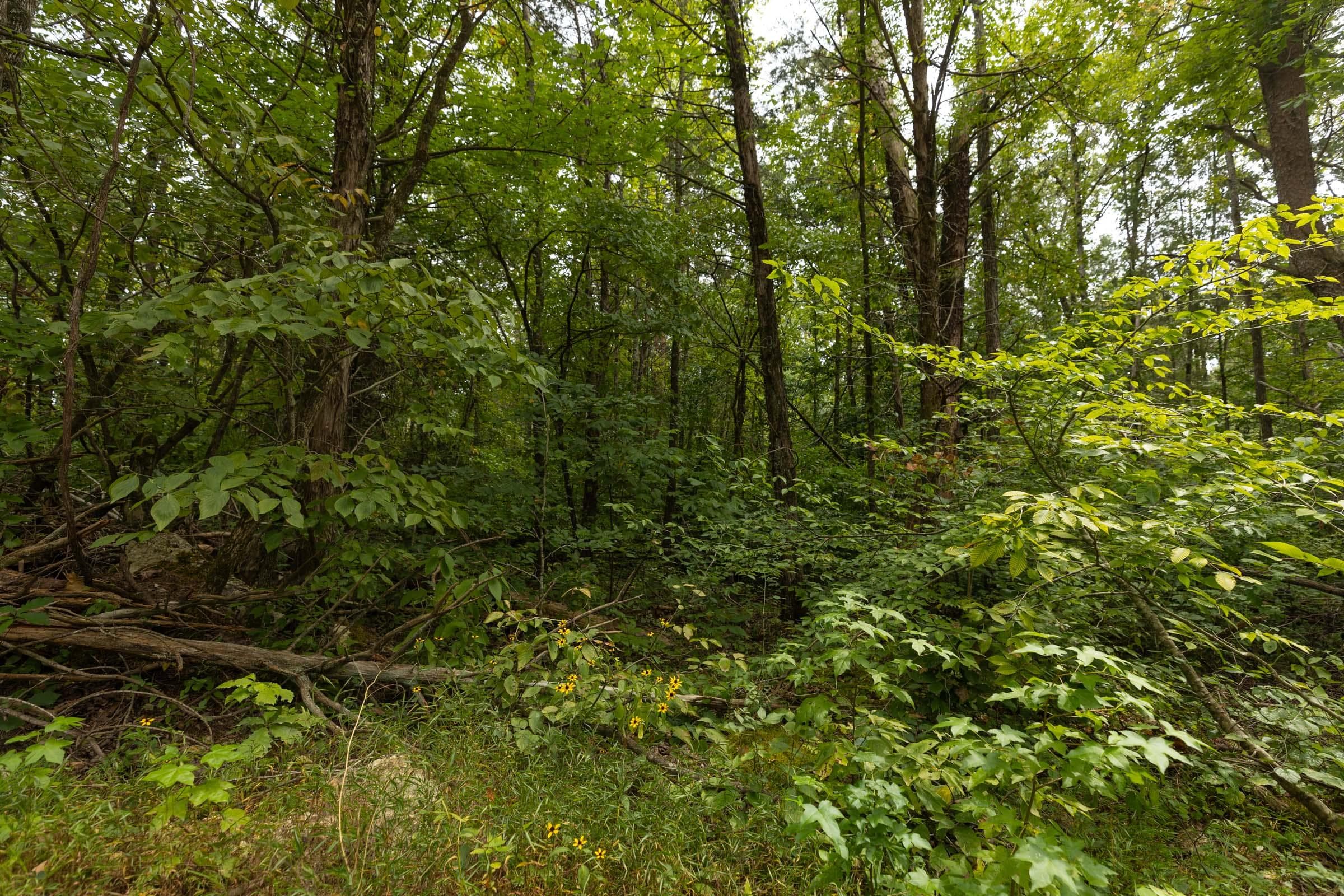 Property photo 163
