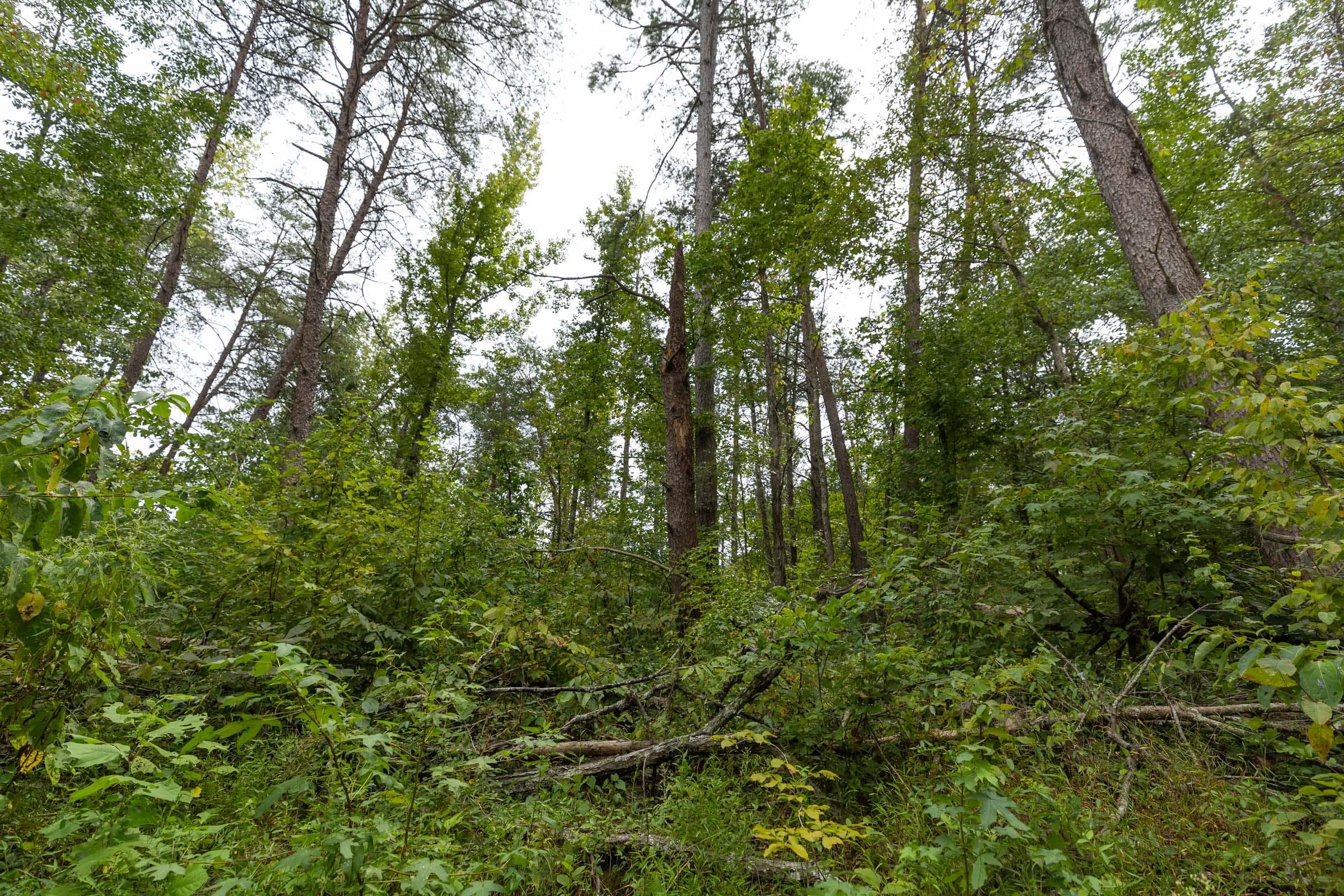 Property photo 159