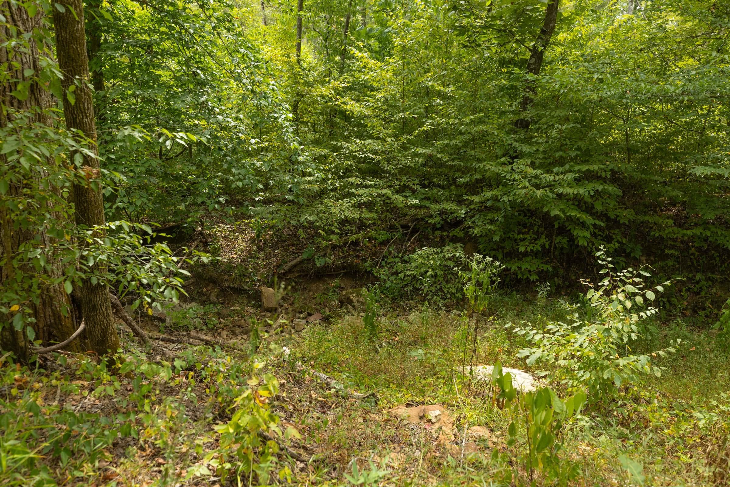 Property photo 160