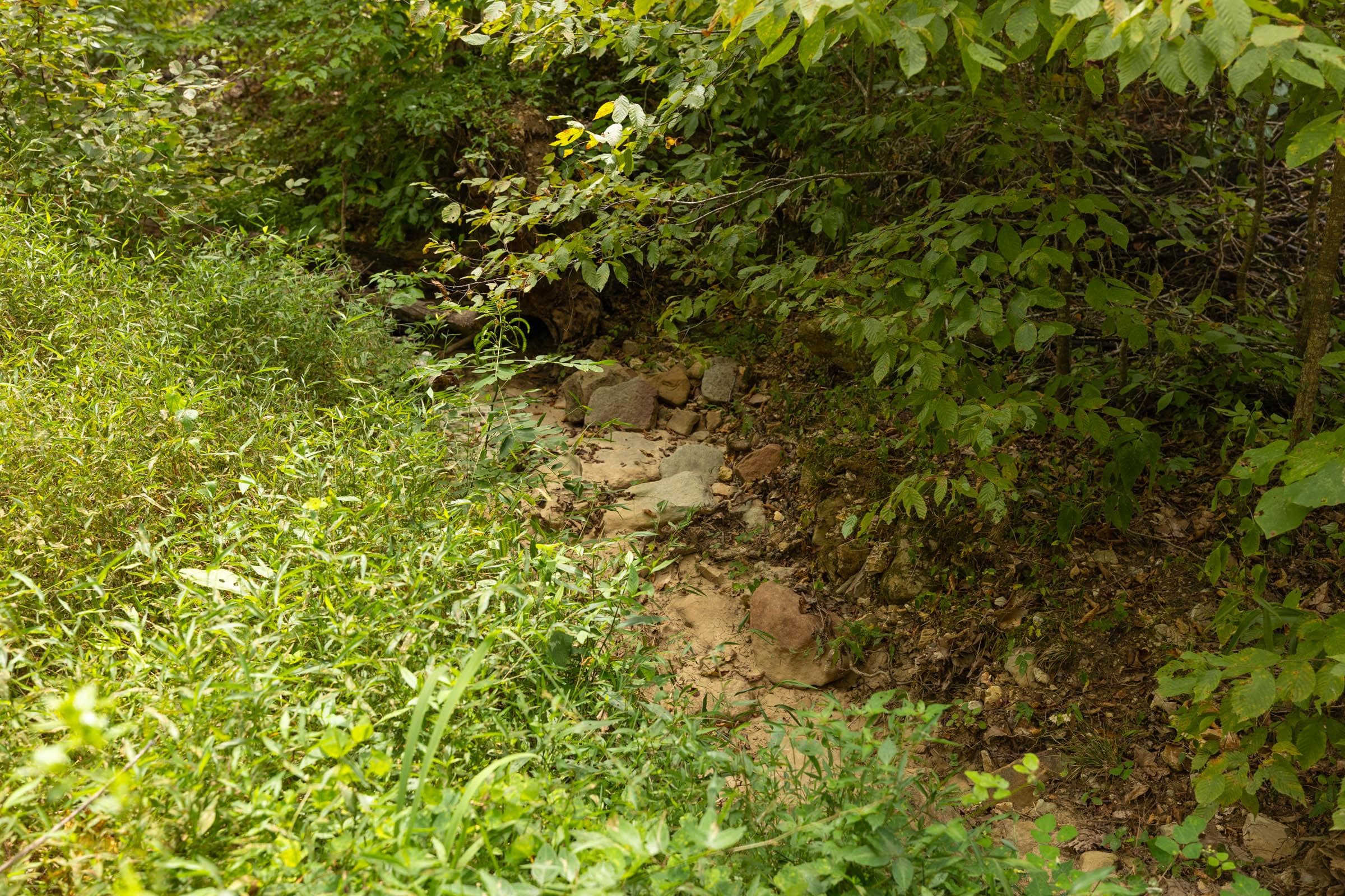 Property photo 162